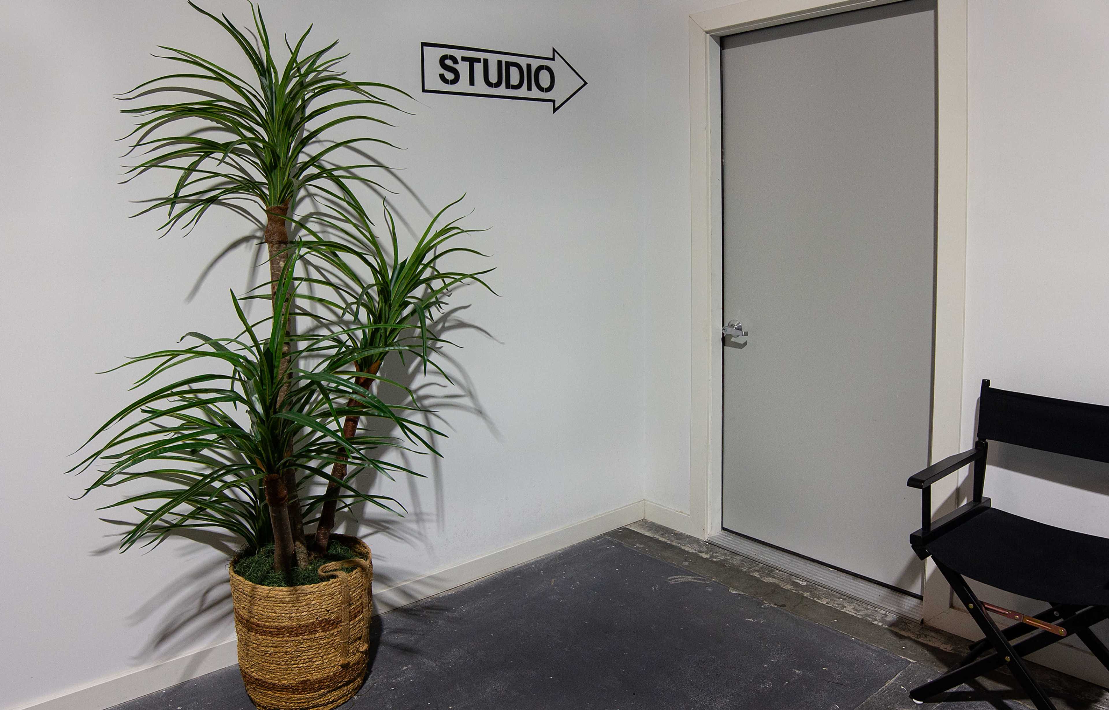 A potted plant stands next to an arrowed "STUDIO" sign pointing towards a closed door with a chair nearby.
