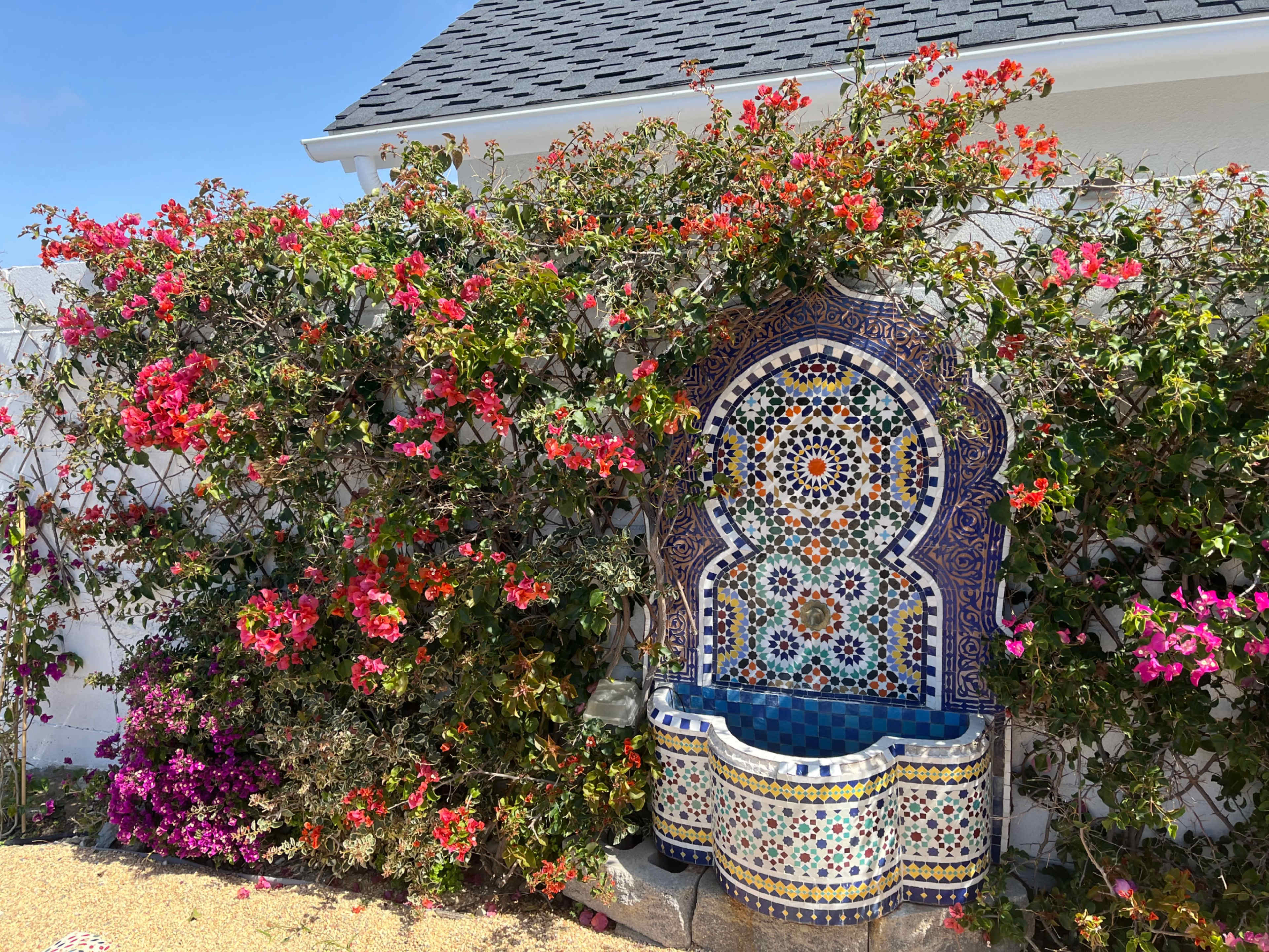 A colorful tiled fountain is surrounded by vibrant blooming bougainvillea against a white wall.