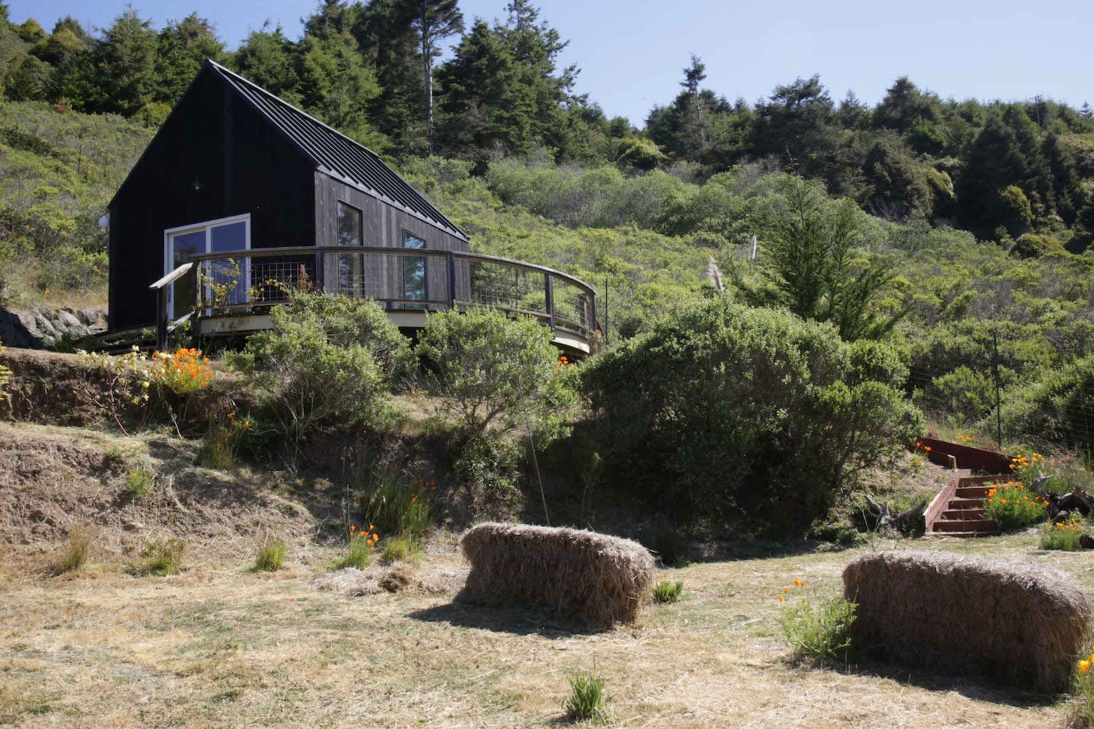 A small black house with a large deck is situated on a hillside surrounded by greenery and wildflowers.