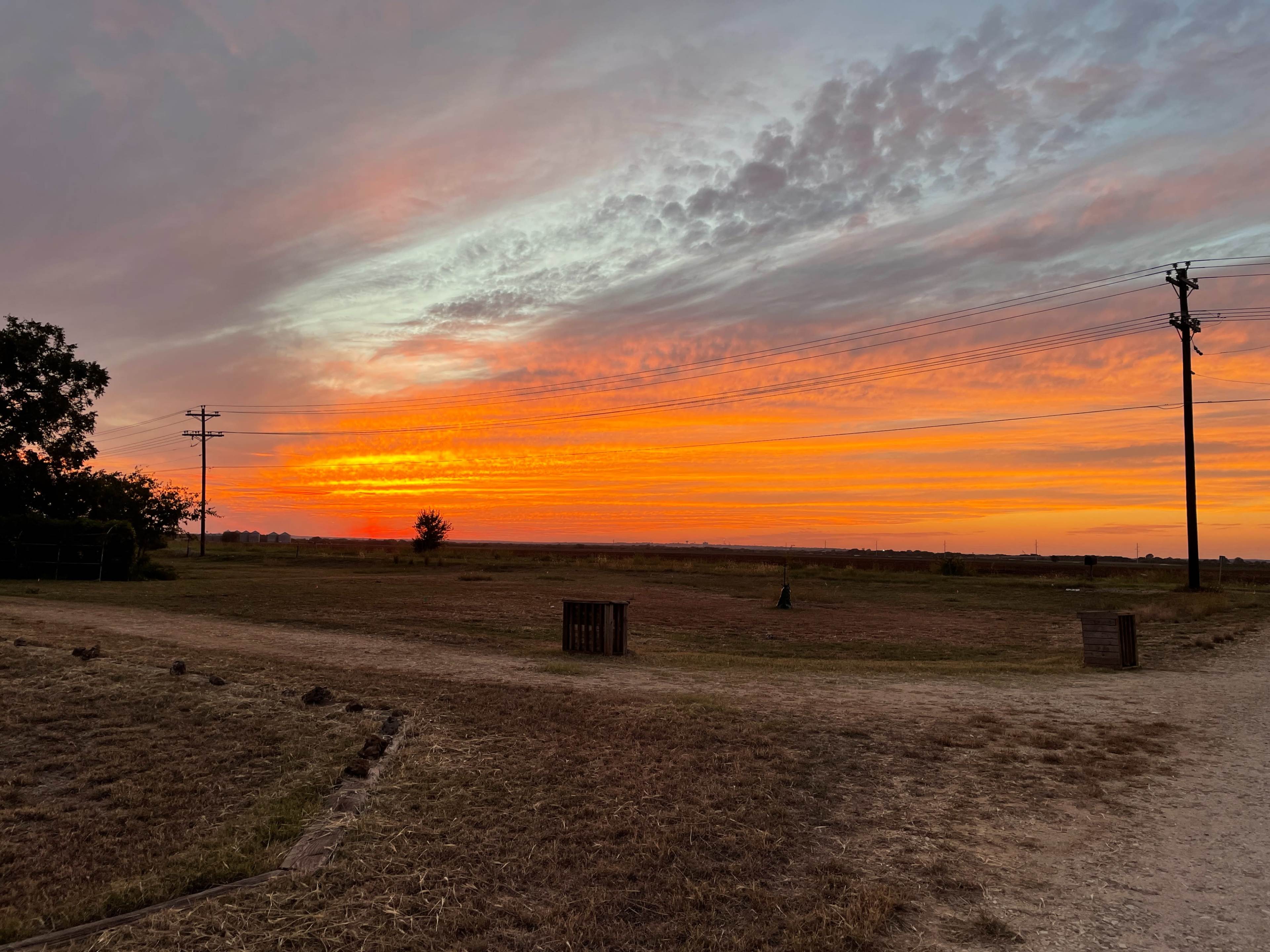 The scene captures a vast open landscape at sunset, with vibrant orange and pink hues in the sky, silhouetted by distant trees and power lines.