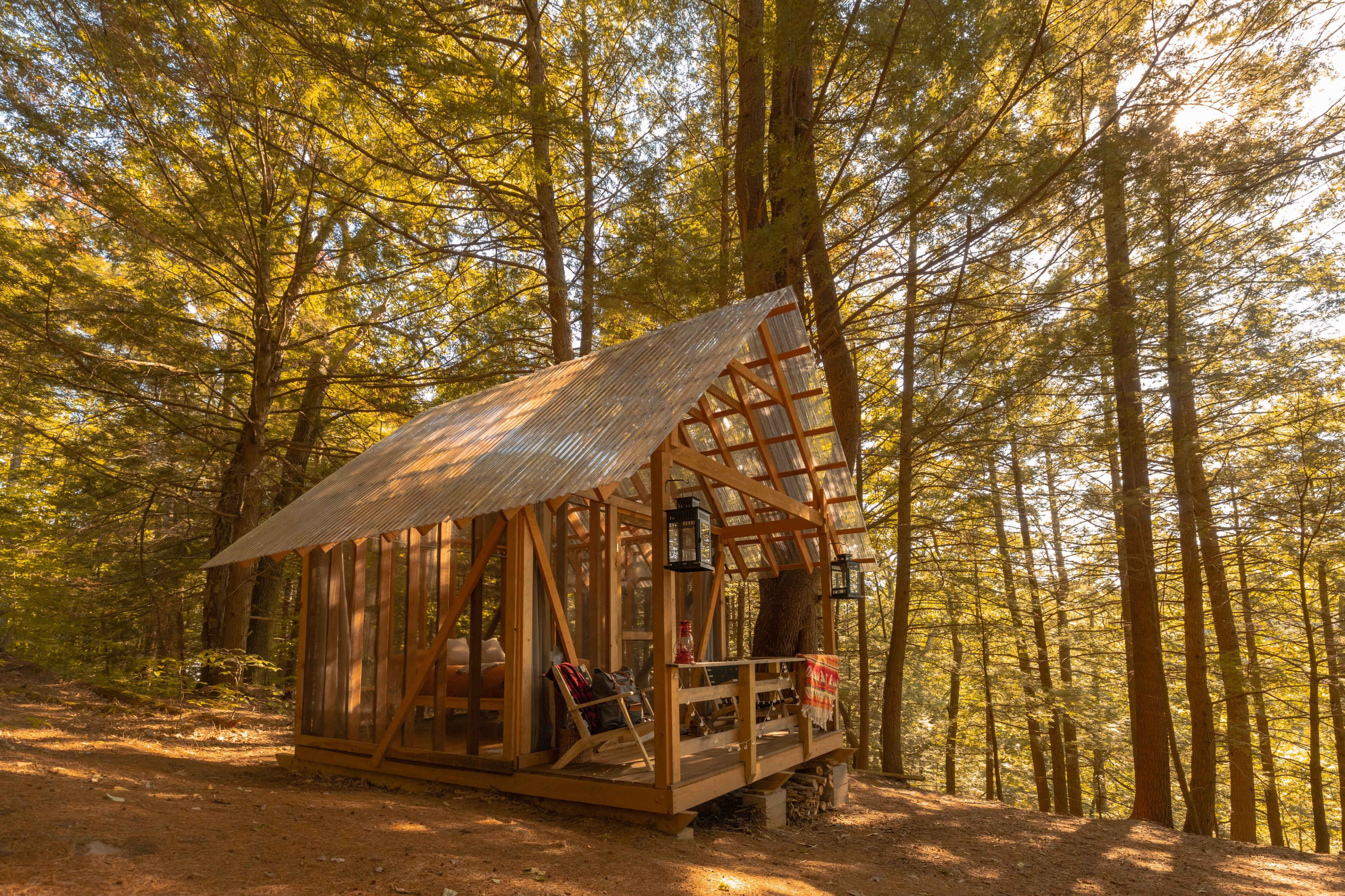 A wooden cabin with a corrugated metal roof is surrounded by tall trees in a forest clearing.