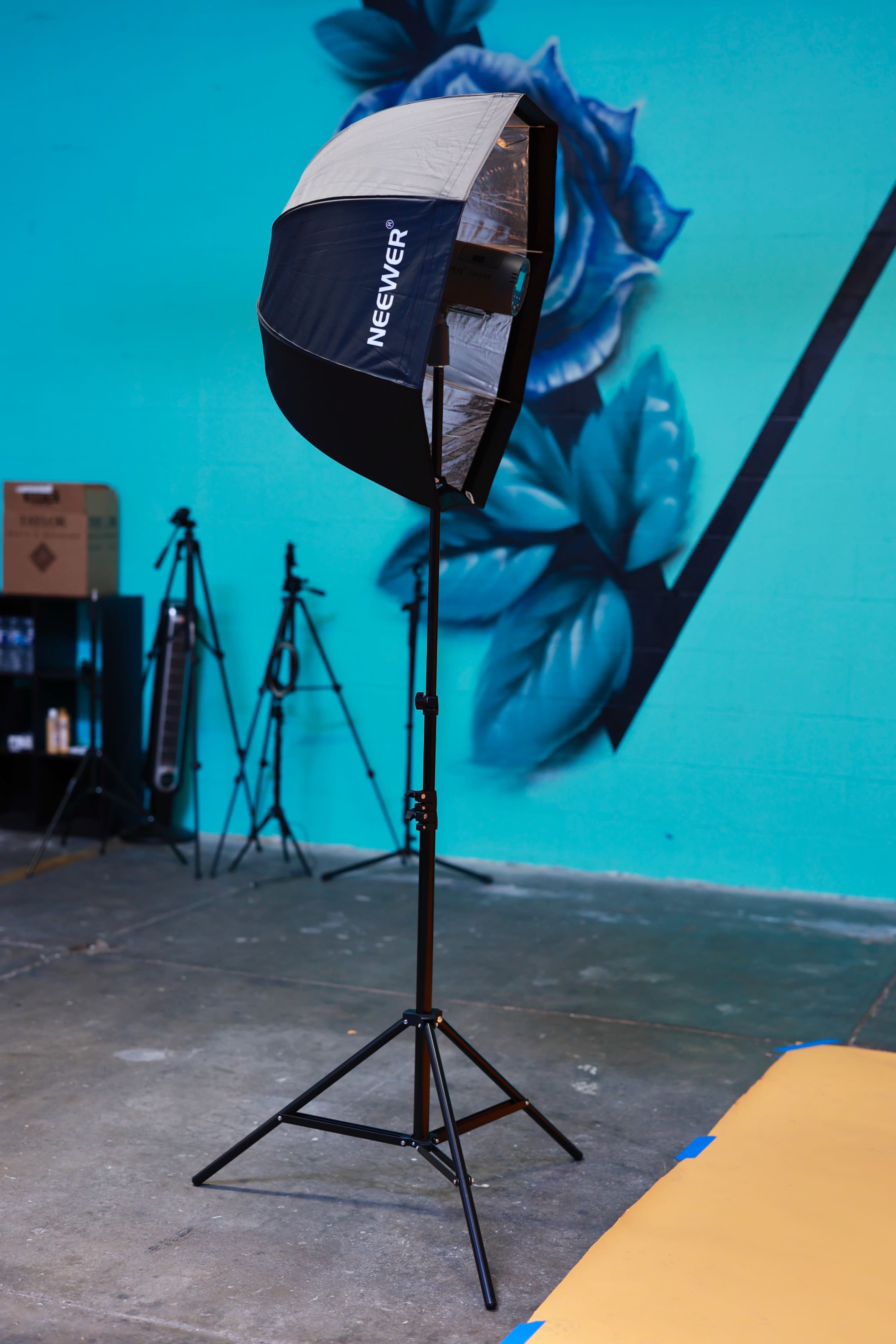 A lighting setup with a softbox on a stand in front of a blue wall featuring a painted rose, with photography equipment in the background.