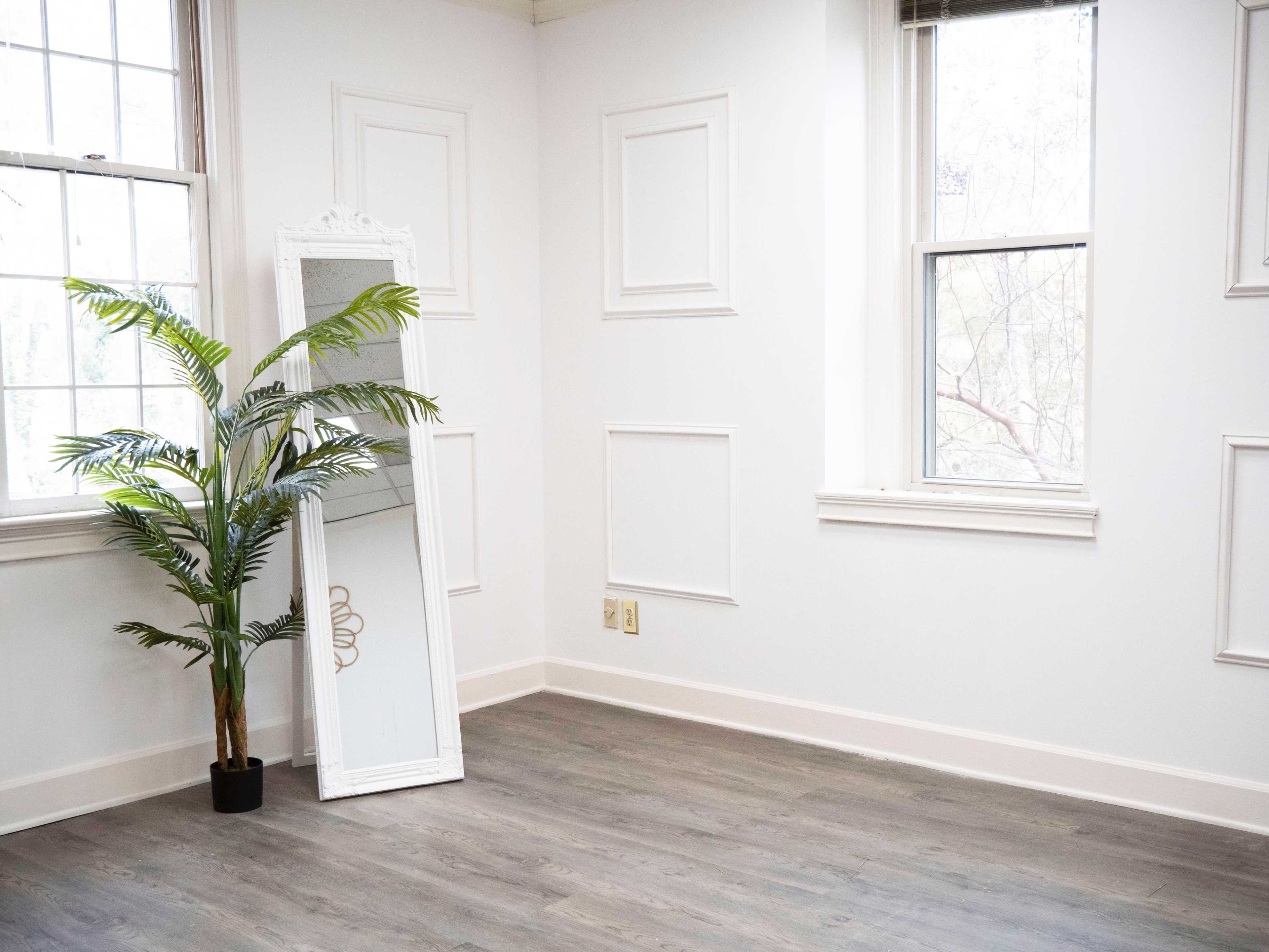 The image shows a minimalist room with a large mirror leaning against the wall next to a potted plant, featuring white walls and windows letting in natural light.