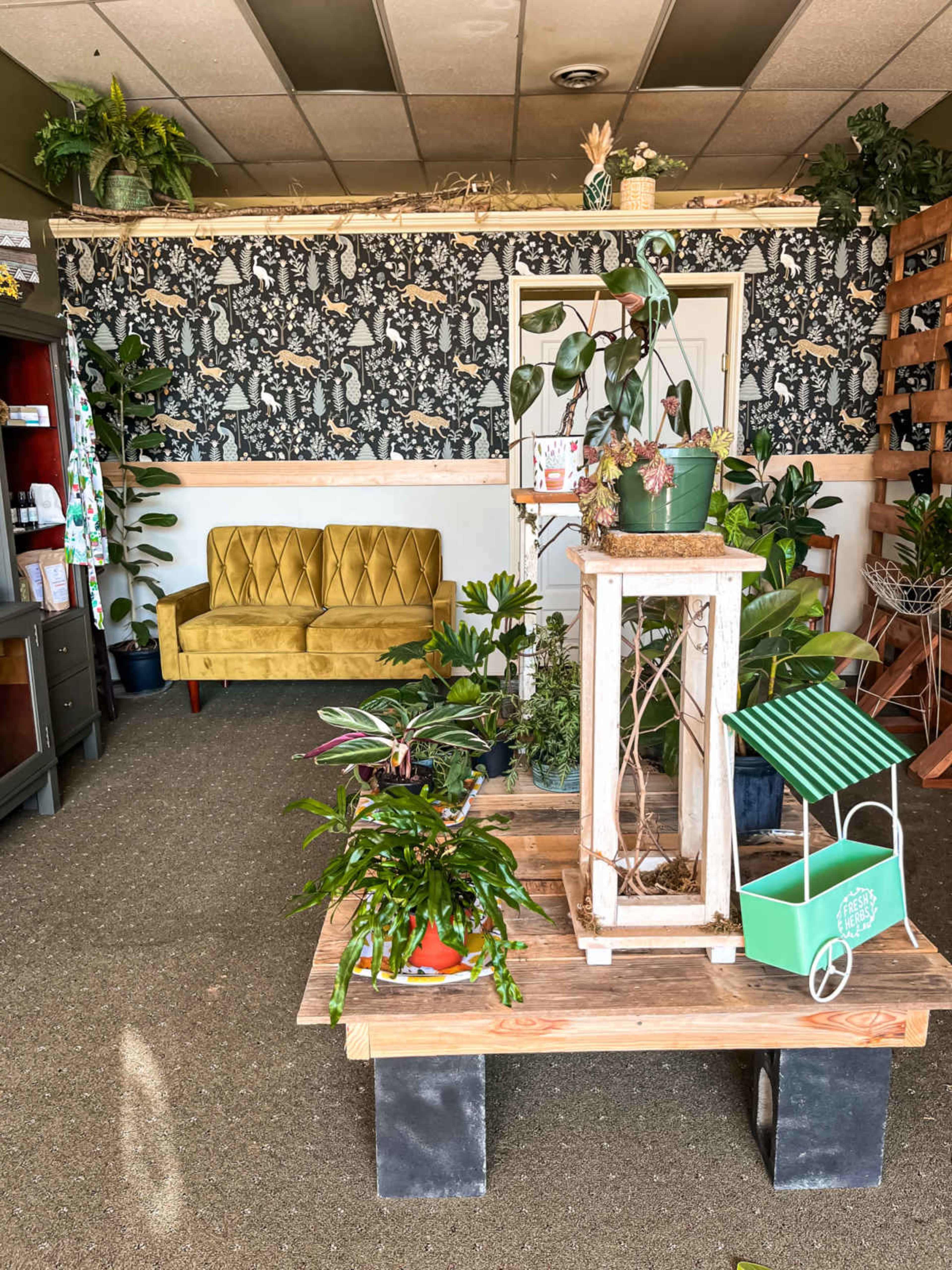 Downtown Plant and Floral Studio Image in Hendersonville, Hendersonville, NC