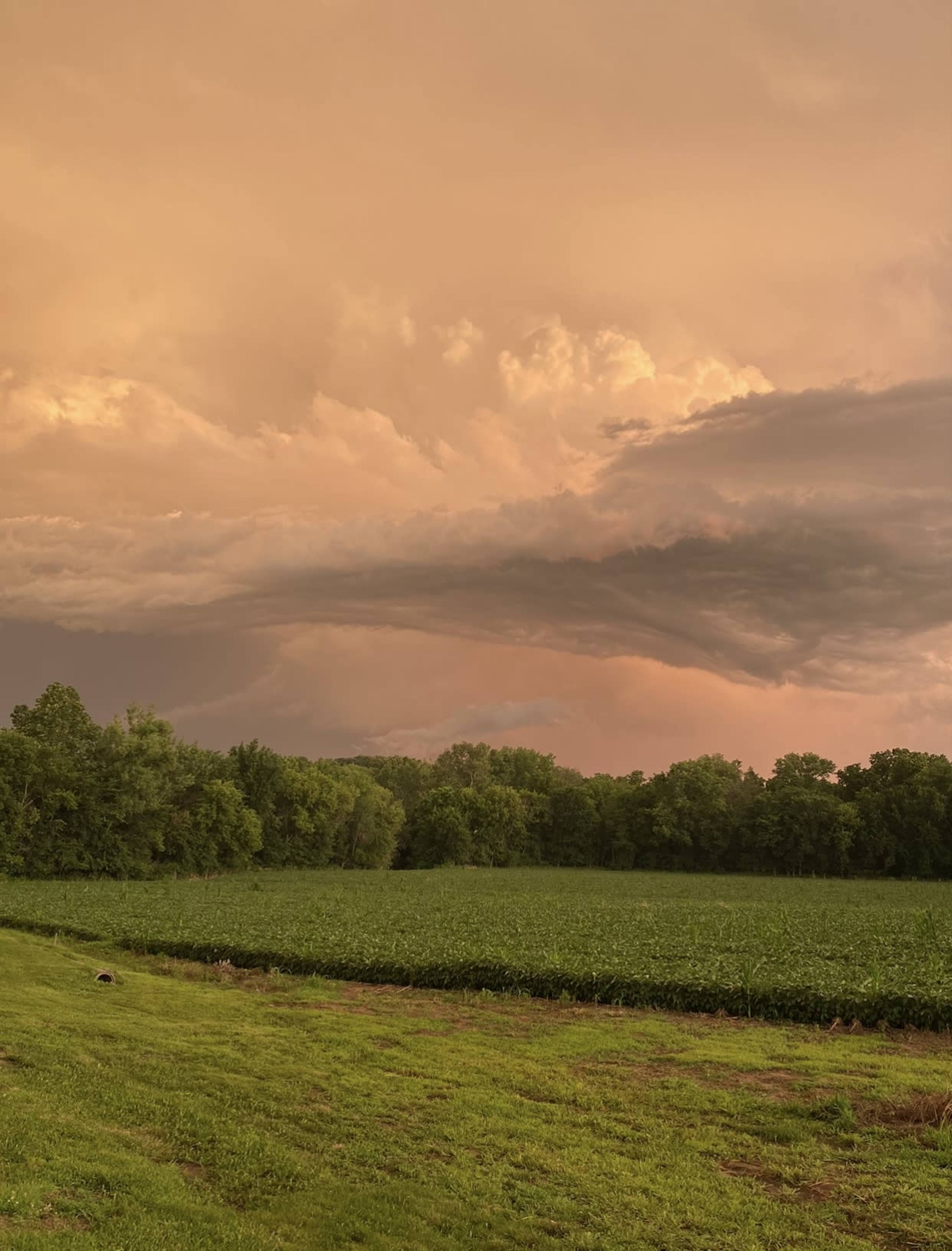 A dense field of crops stretches across the foreground, with a dramatic sky filled with swirling clouds illuminated by an orange hue in the background.
