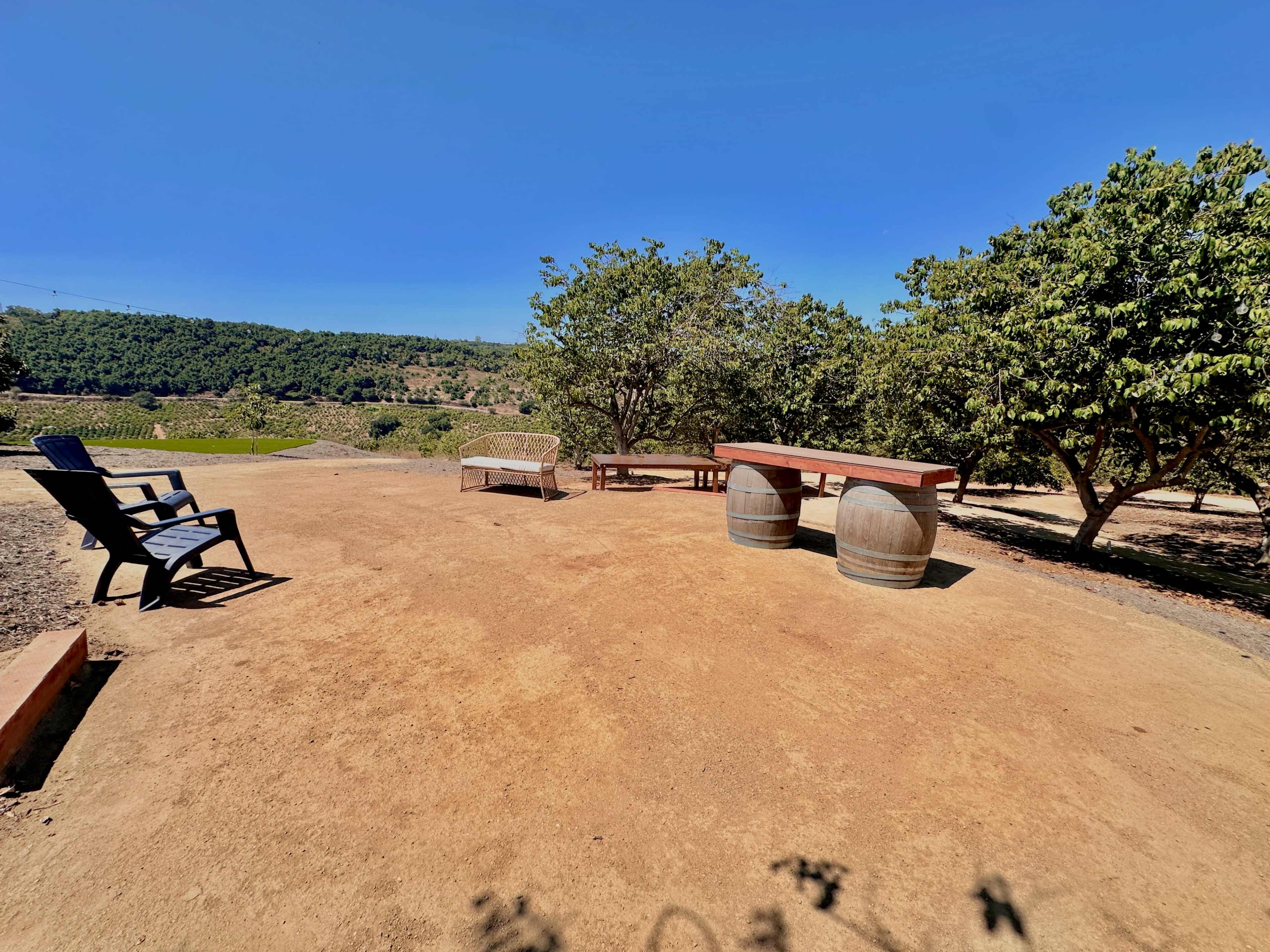 An outdoor space with two wooden barrels, a rectangular table, a bench, and a single chair, surrounded by trees and a view of a hillside.