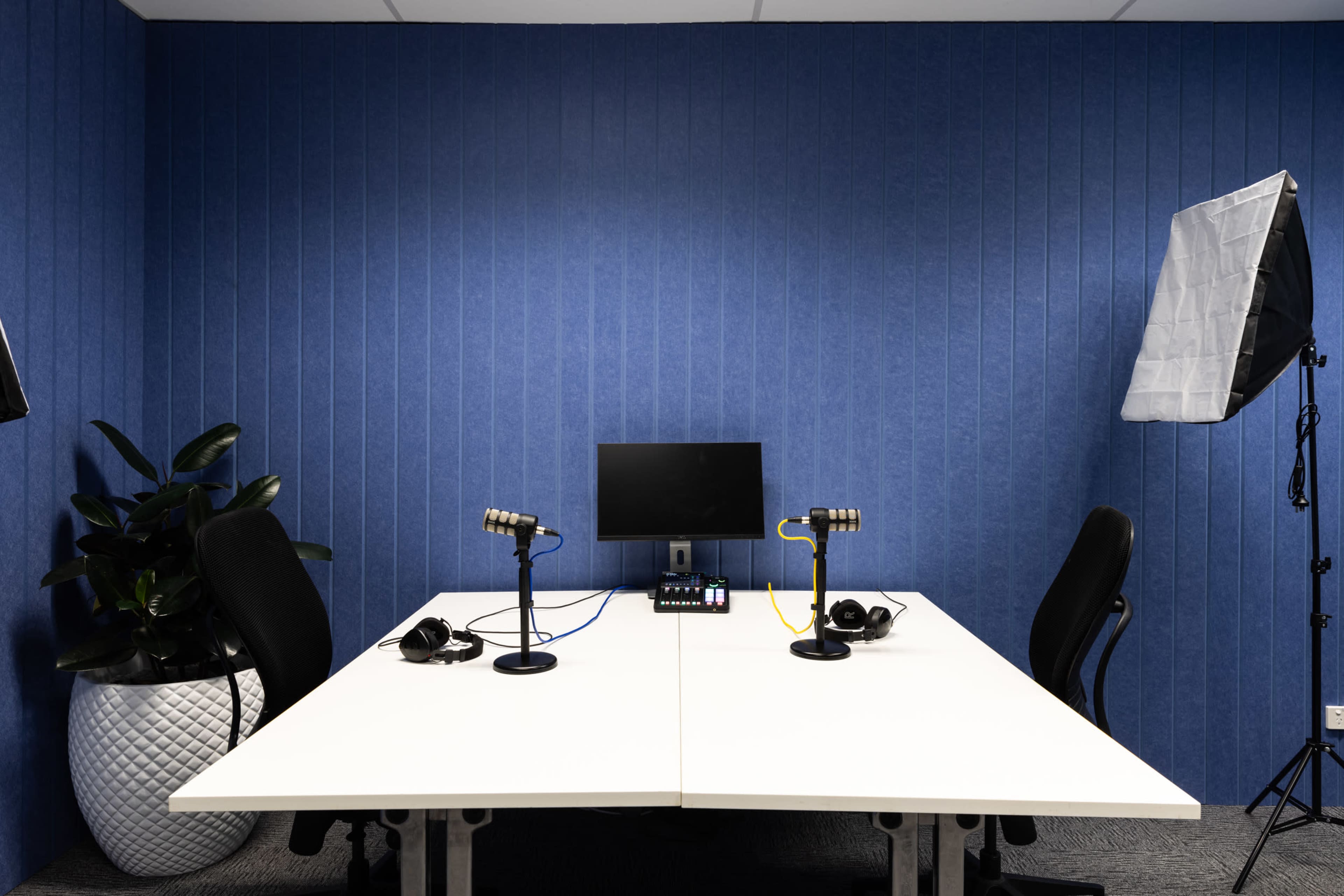 A podcast recording setup features two microphone stands, headphones, and a monitor on a white table in a room with blue textured walls and a plant.
