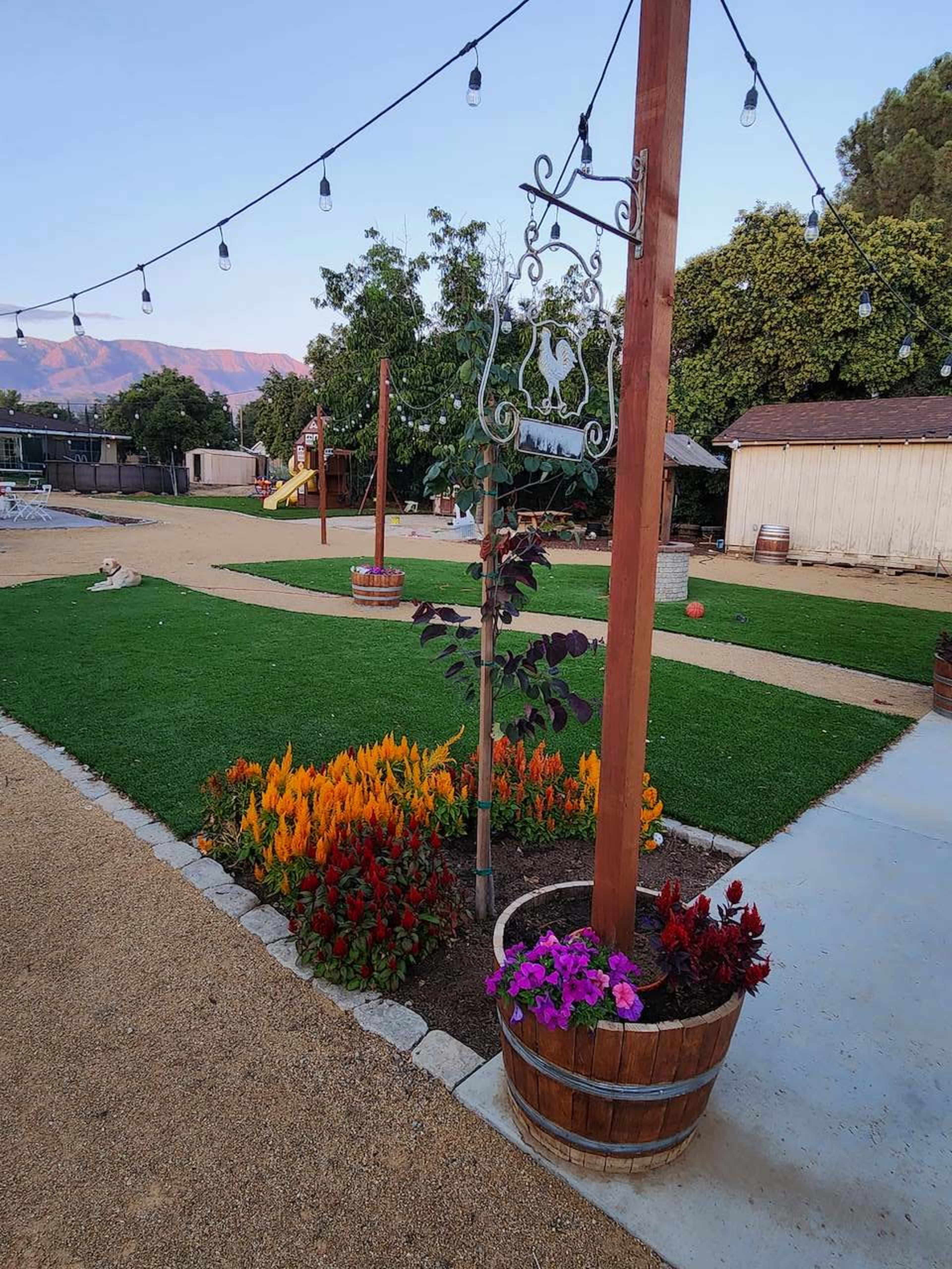 The image shows a well-maintained outdoor area featuring colorful flower beds, a grassy lawn, and overhead string lights, with a wooden structure and a playground visible in the background.