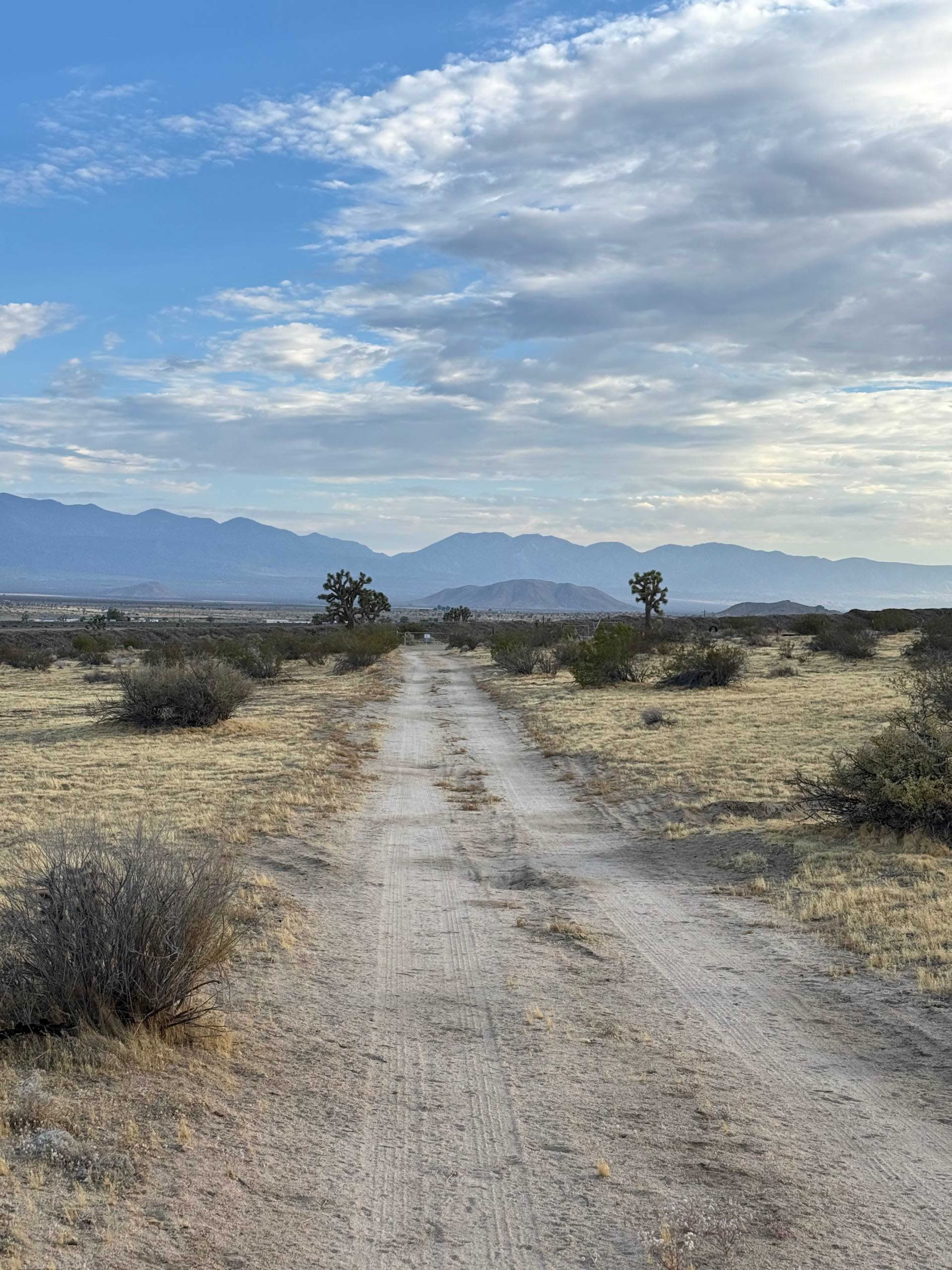 A dirt road stretches through a desert landscape, flanked by sparse vegetation and distant mountains under a partly cloudy sky.