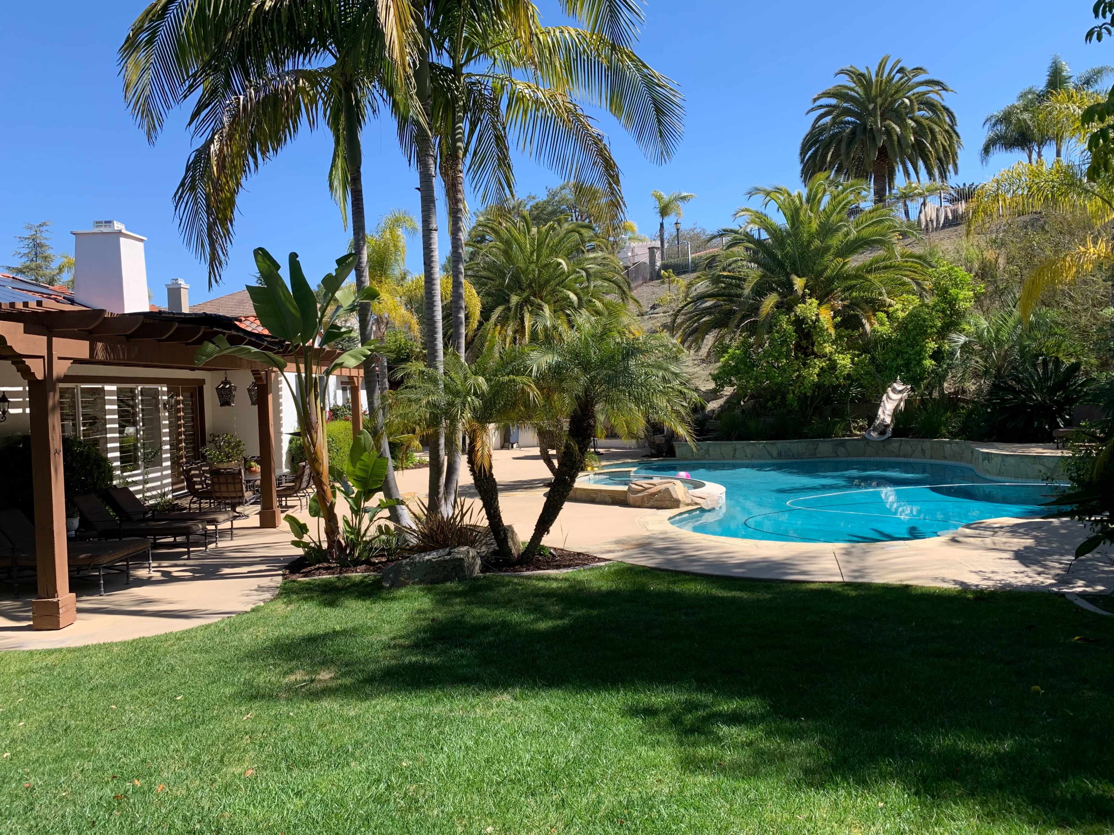 A landscaped backyard featuring a swimming pool, palm trees, and a covered patio area with lounge furniture.