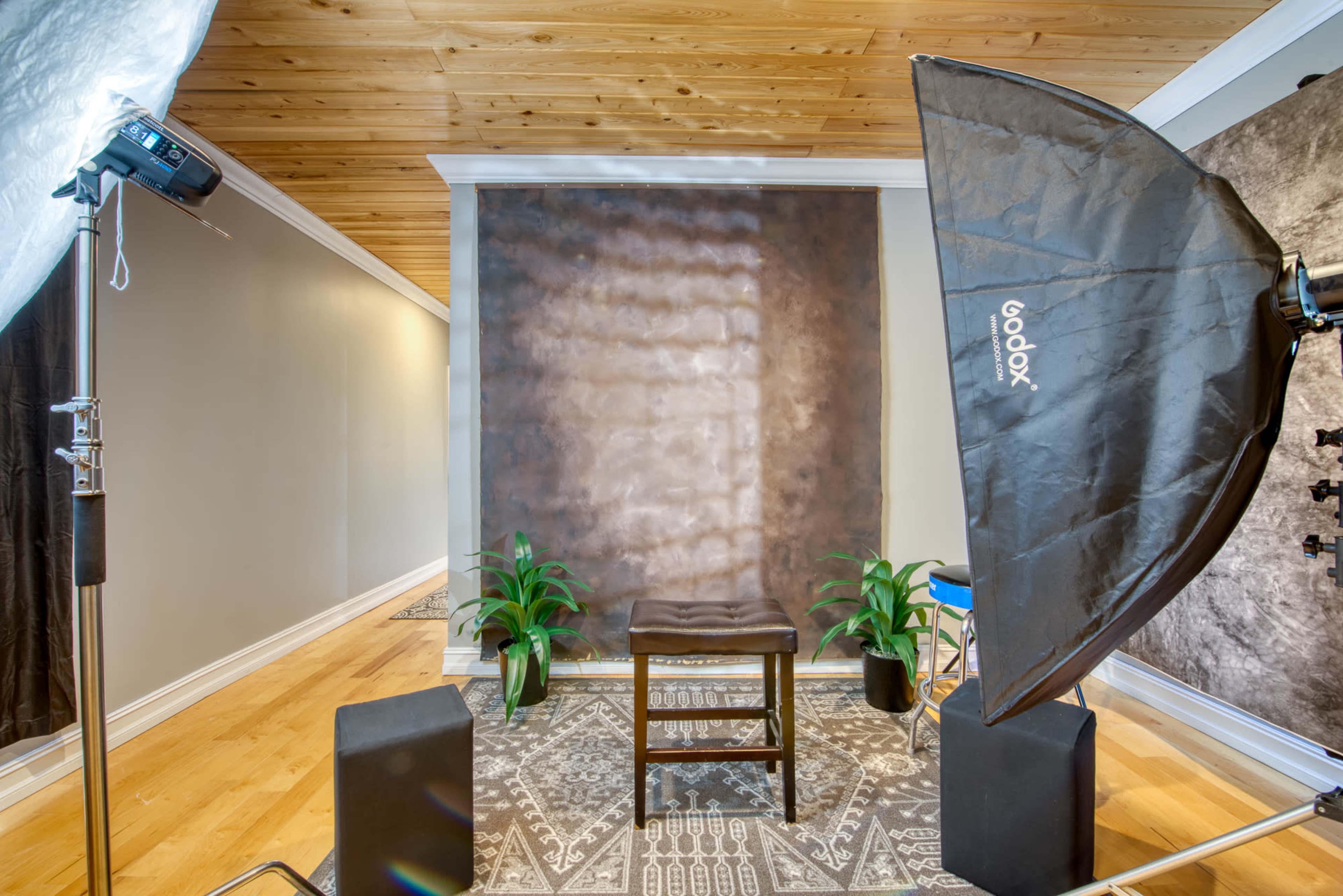 A photography studio setup with a brown backdrop, a stool at the center, softbox lights on either side, and decorative plants.