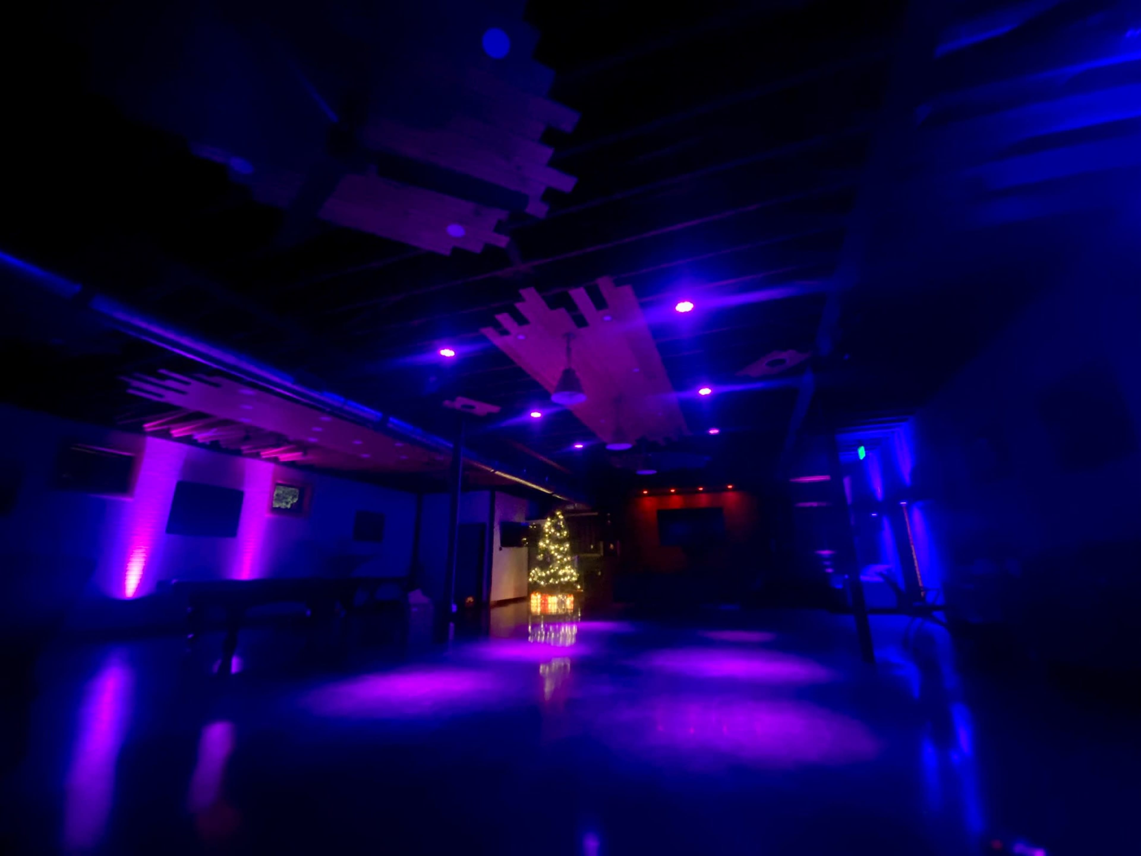 The image shows a dimly lit indoor space with purple lighting and a small, decorated Christmas tree in the corner.