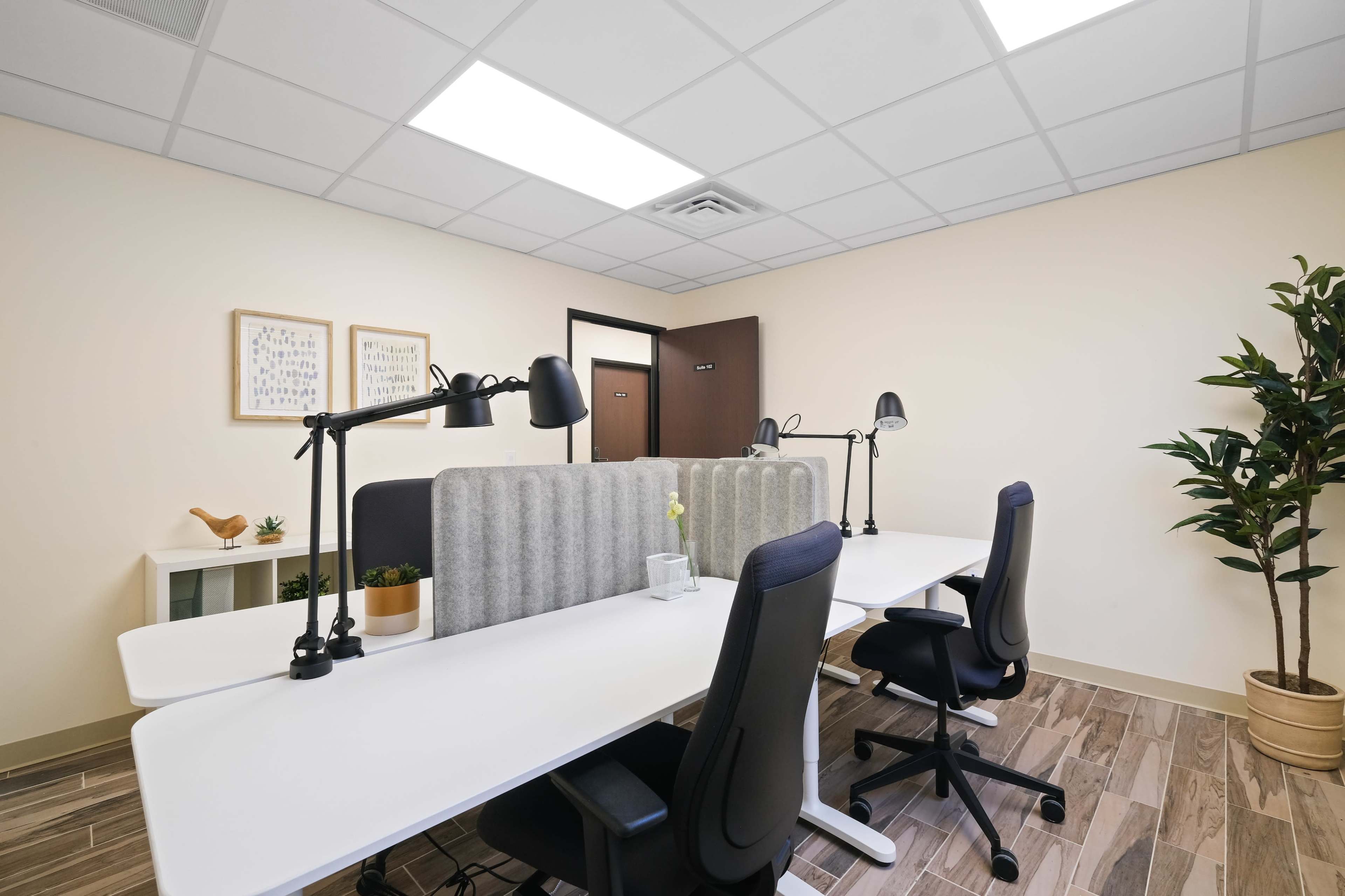 A modern office space features two workstations with adjustable desk lamps, separated by partition panels, alongside a small plant and decorative items on a shelf.