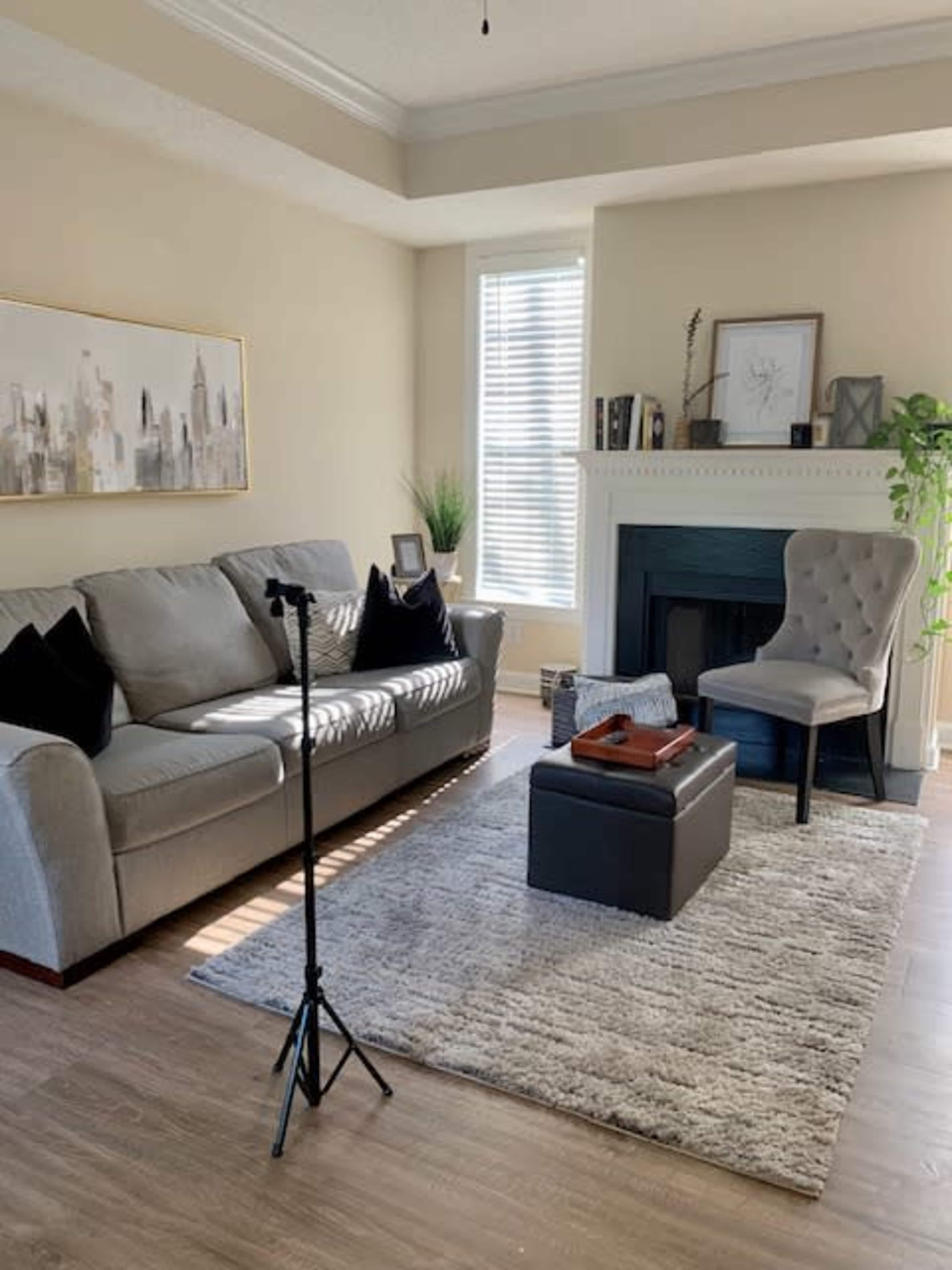 A living room features a gray sofa with black throw pillows, a chair, a small coffee table, and a fireplace, all arranged on a light-colored rug.