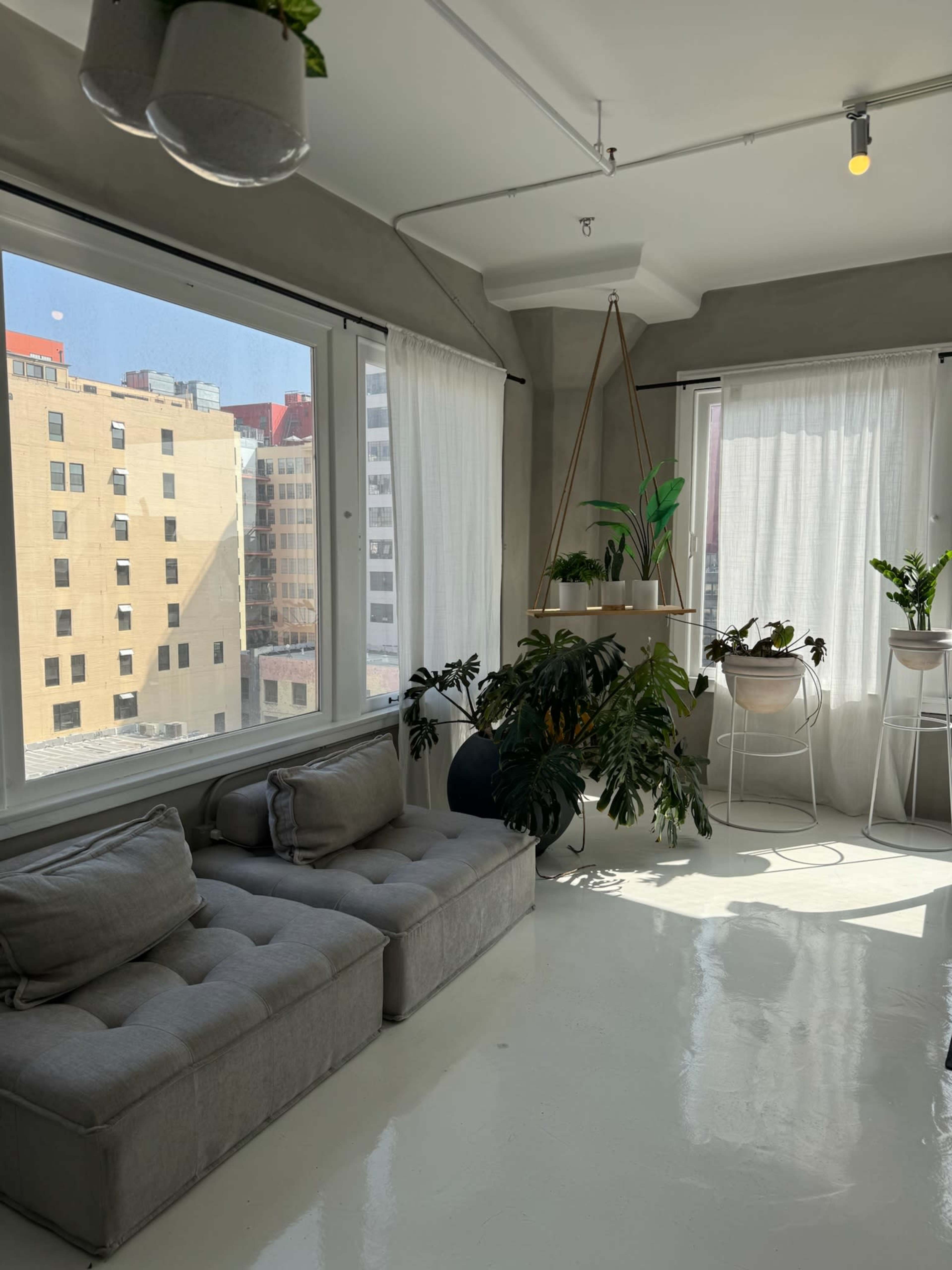 The image shows a bright indoor space with large windows, plants, and a gray couch positioned in front of the windows.