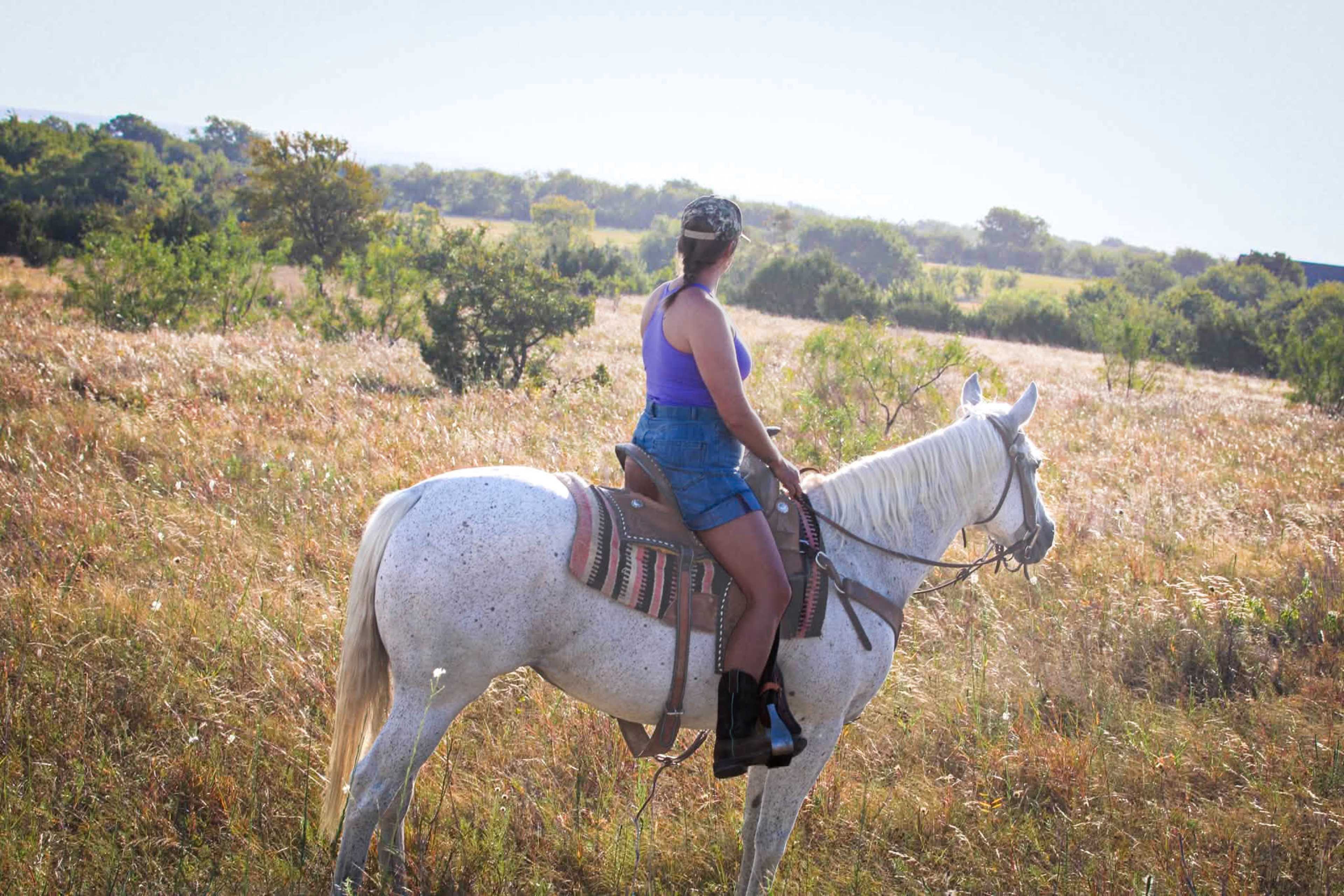 A person is riding a white horse in a grassy field with trees and hills in the background.