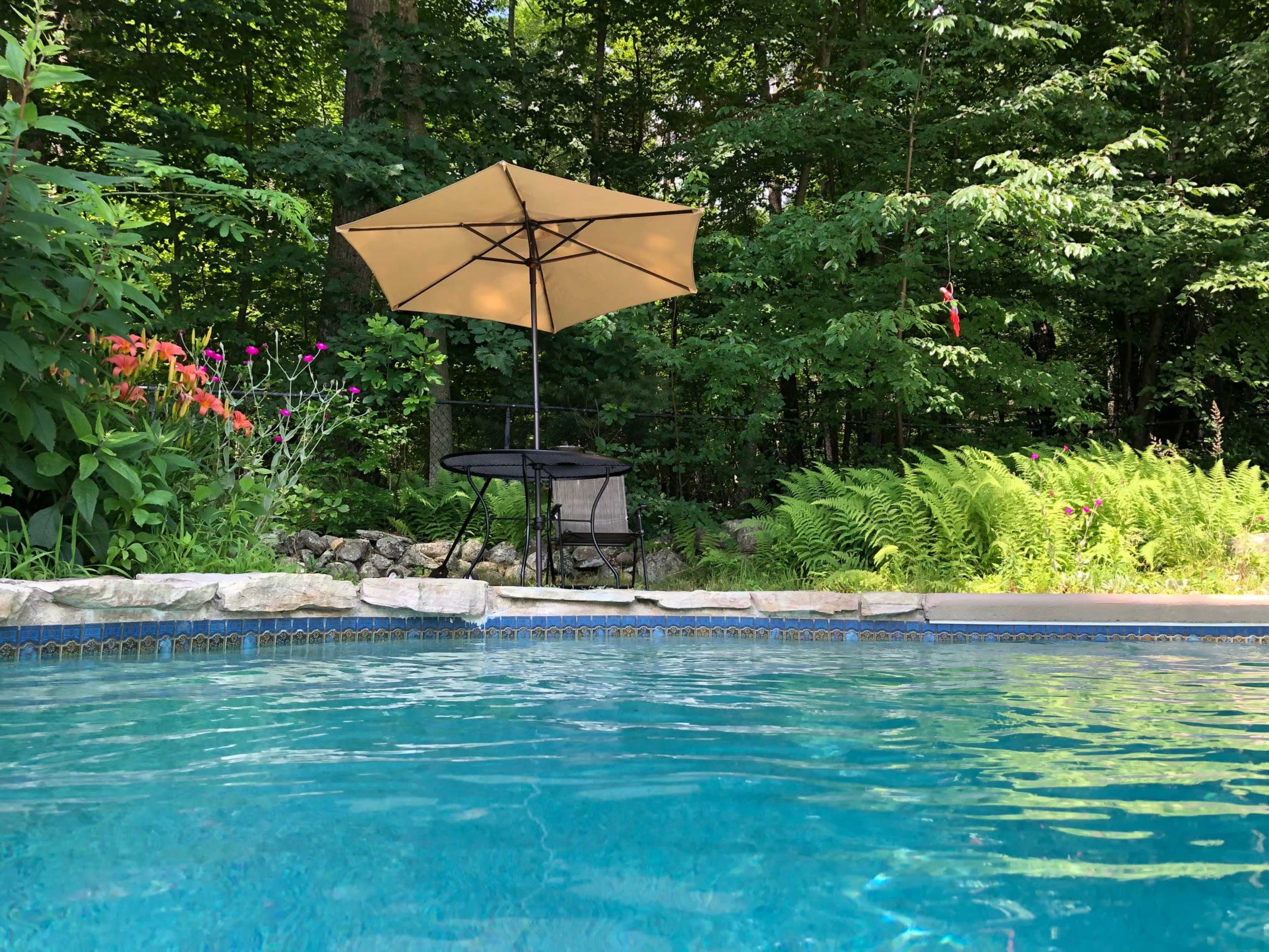 A swimming pool with clear water is bordered by a stone edge, featuring a table and chair shade under an umbrella beside lush greenery.