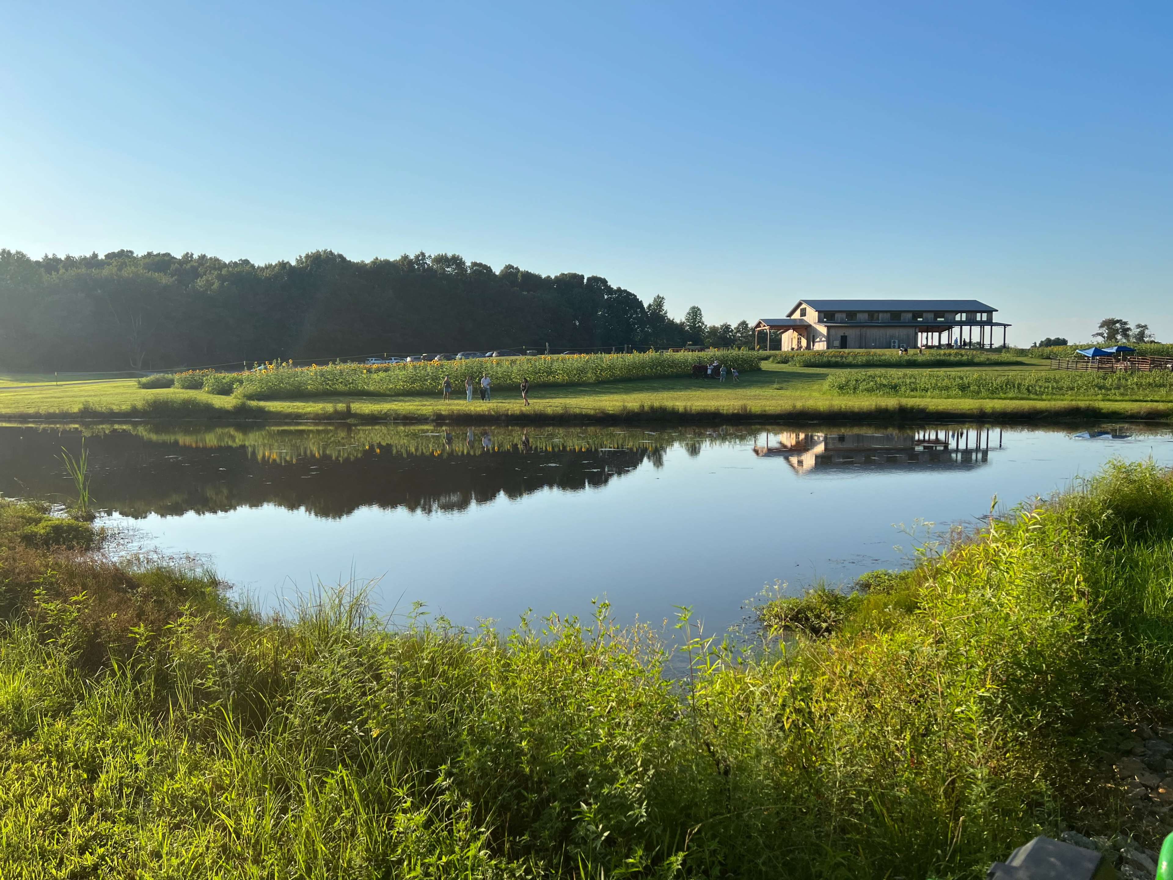 A building sits next to a calm pond surrounded by grass and trees, reflecting the structure and blue sky above.