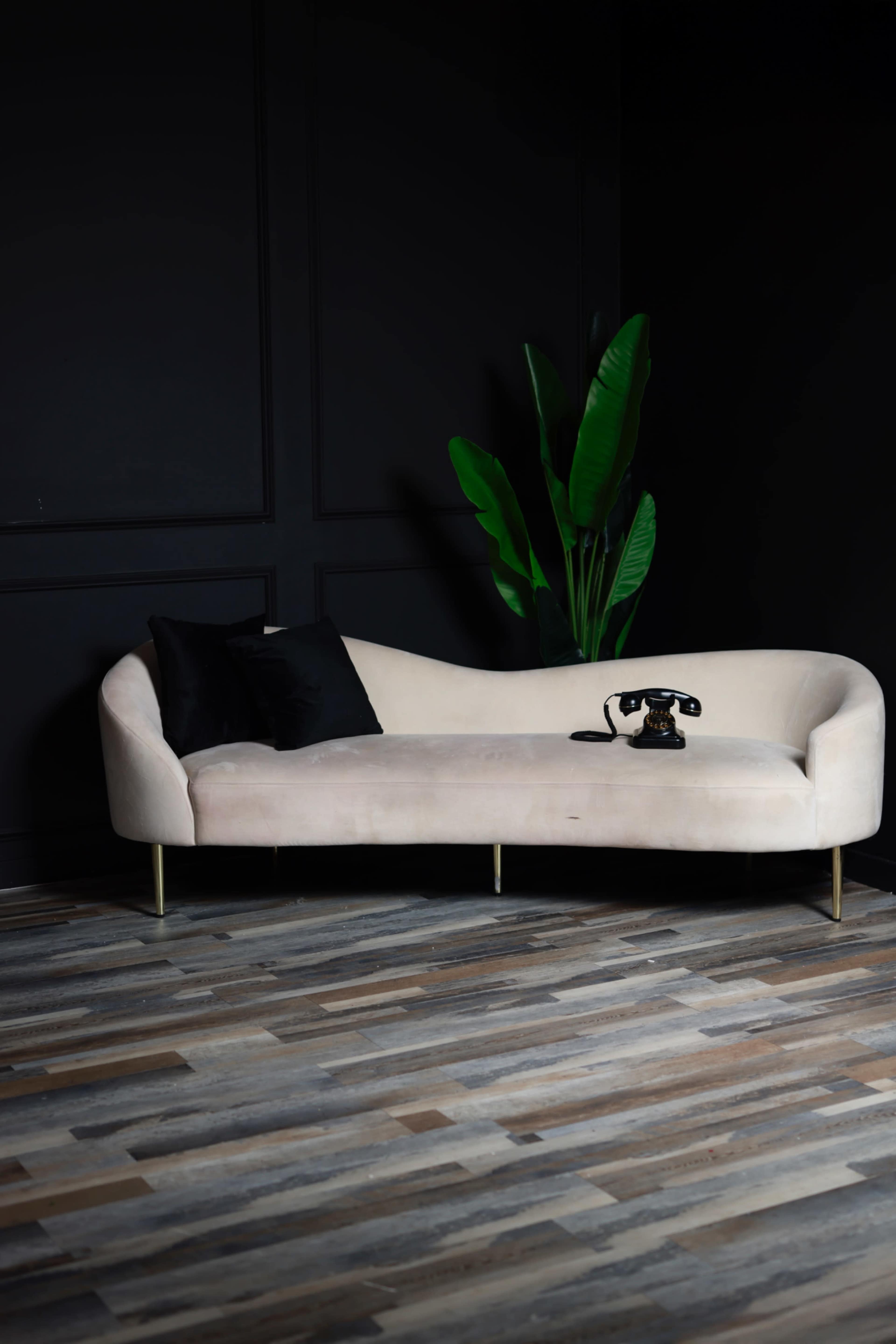 A light-colored curved sofa with a black pillow and a vintage telephone sits against a dark wall, accompanied by a large green plant in the background.