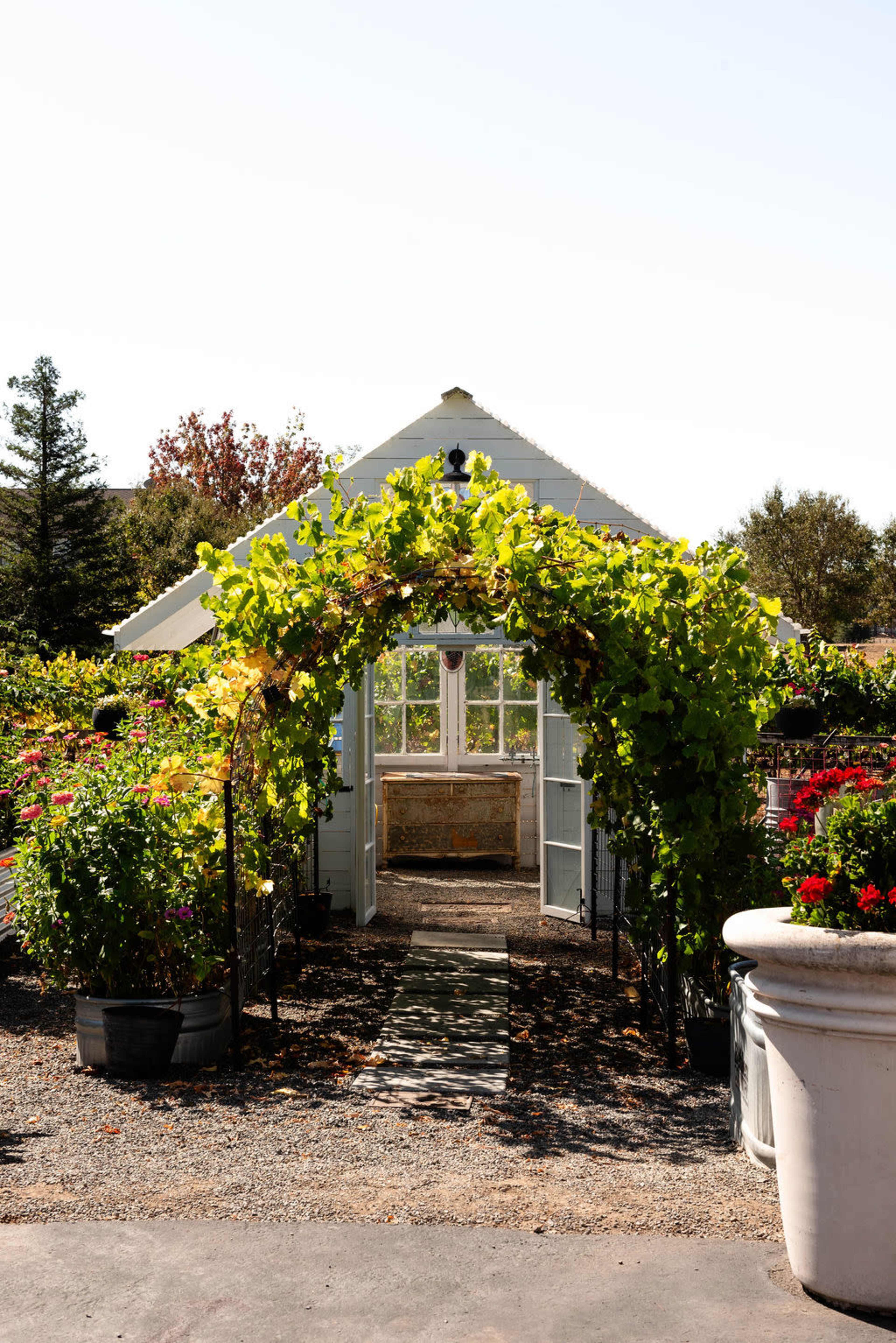 A white greenhouse sits at the end of a stone pathway, framed by vibrant green vines and colorful flowers in pots.