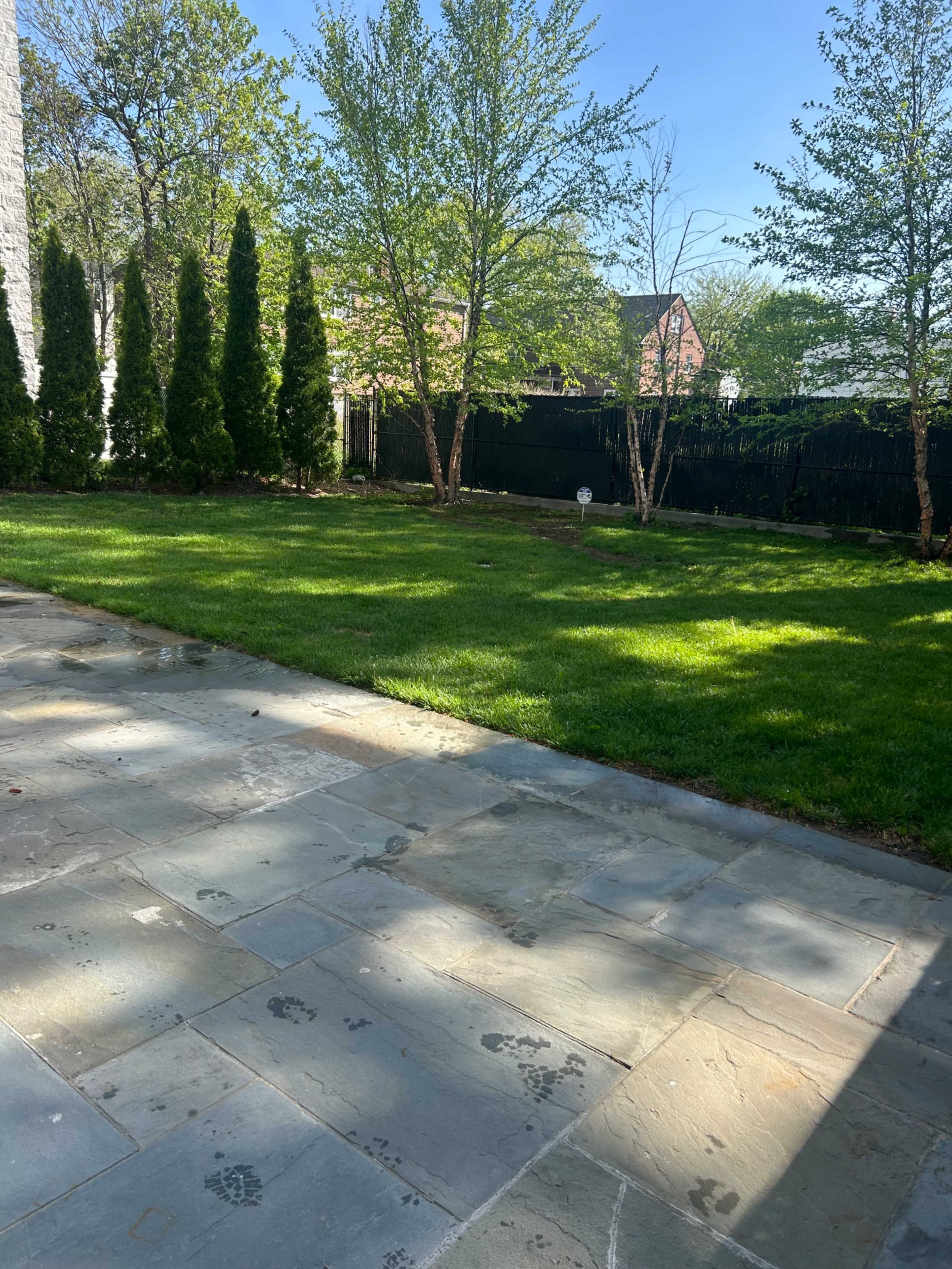 Charming Backyard Oasis with Lush Lawn & Stone Patio Image in South Side, Mount Vernon, NY
