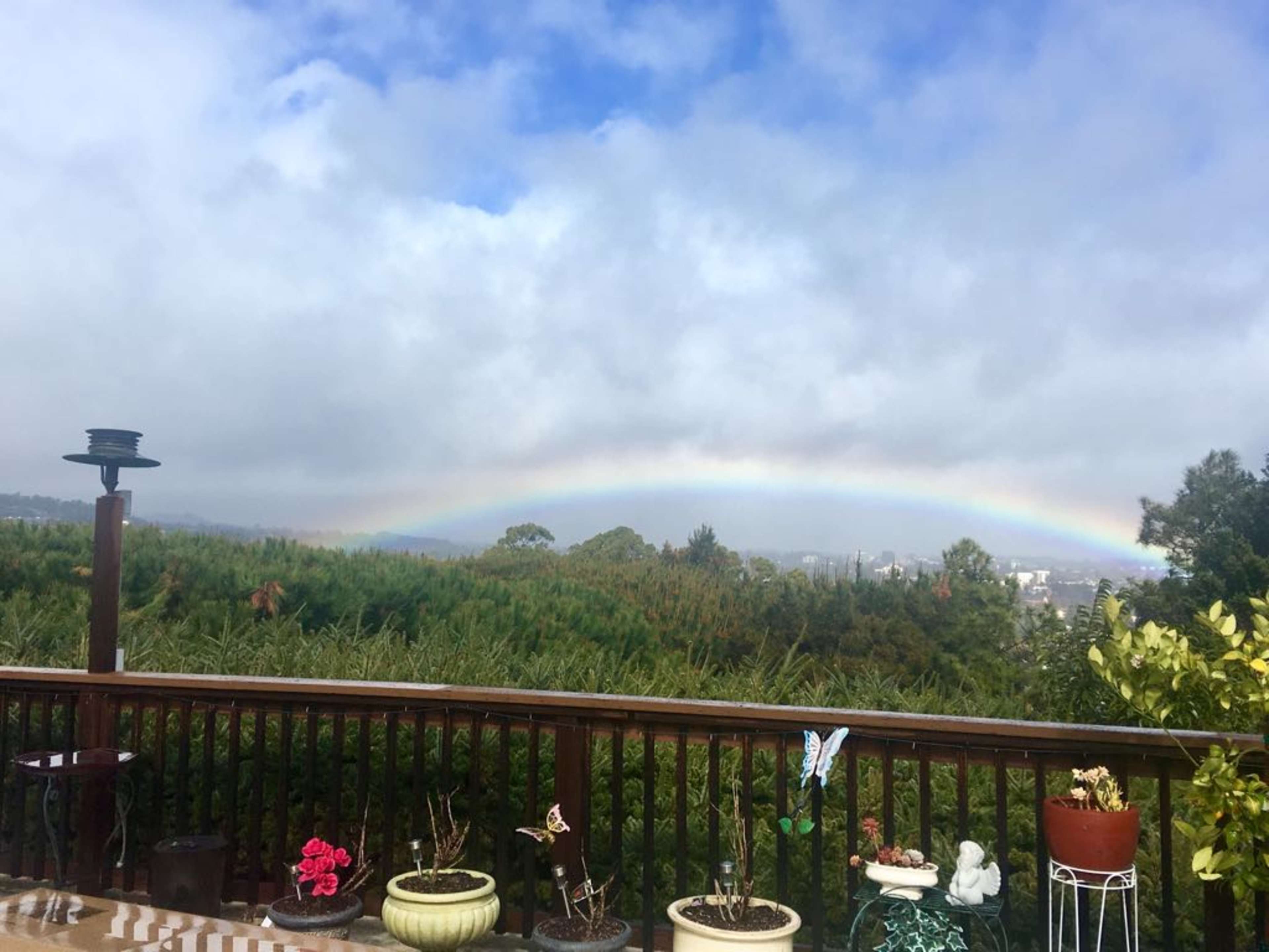 A rainbow arcs across a cloudy sky over a green landscape, visible from a wooden deck adorned with potted plants.