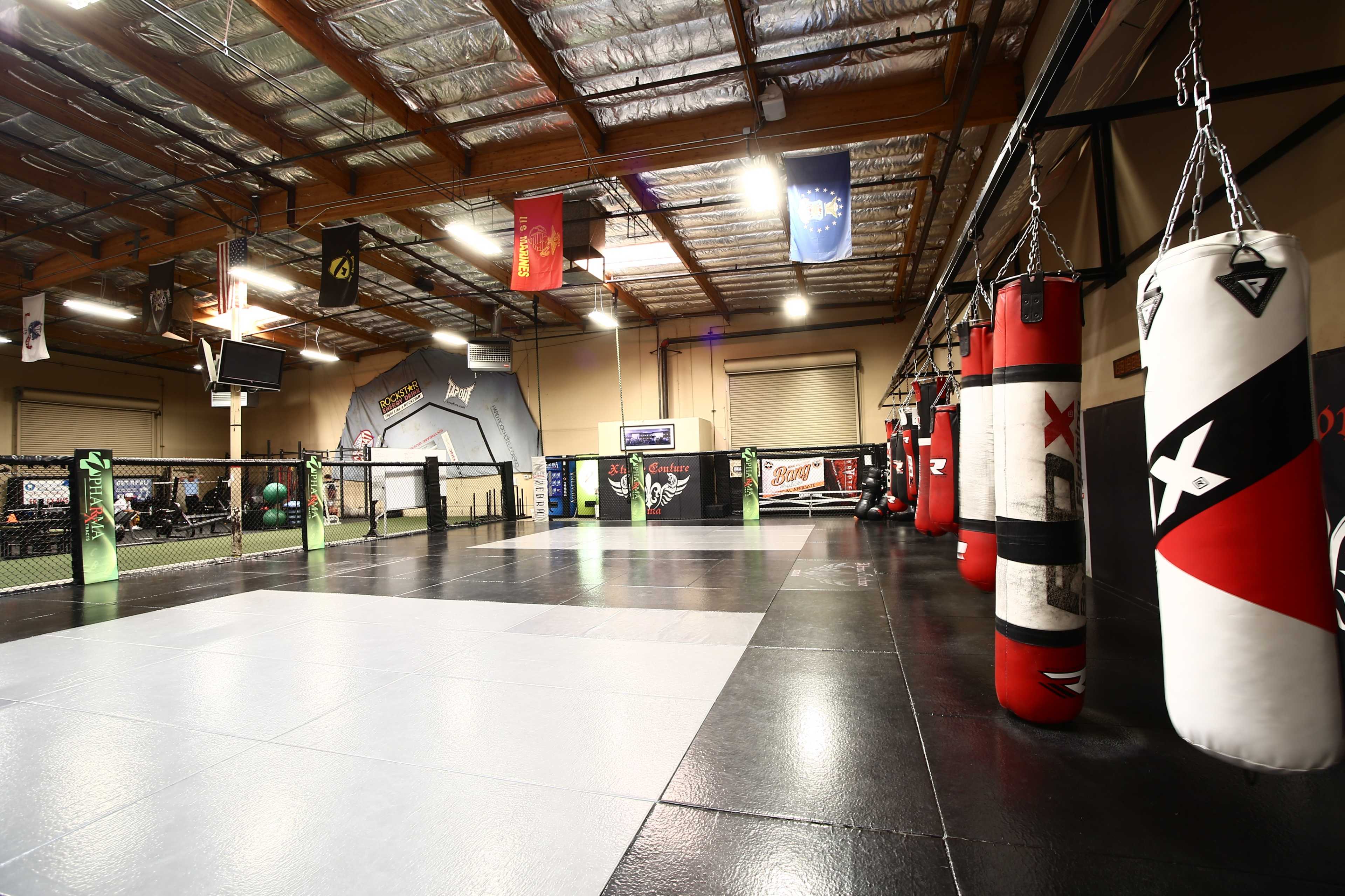 A mixed martial arts training facility featuring a cage, various punching bags, and banners hanging from the ceiling.