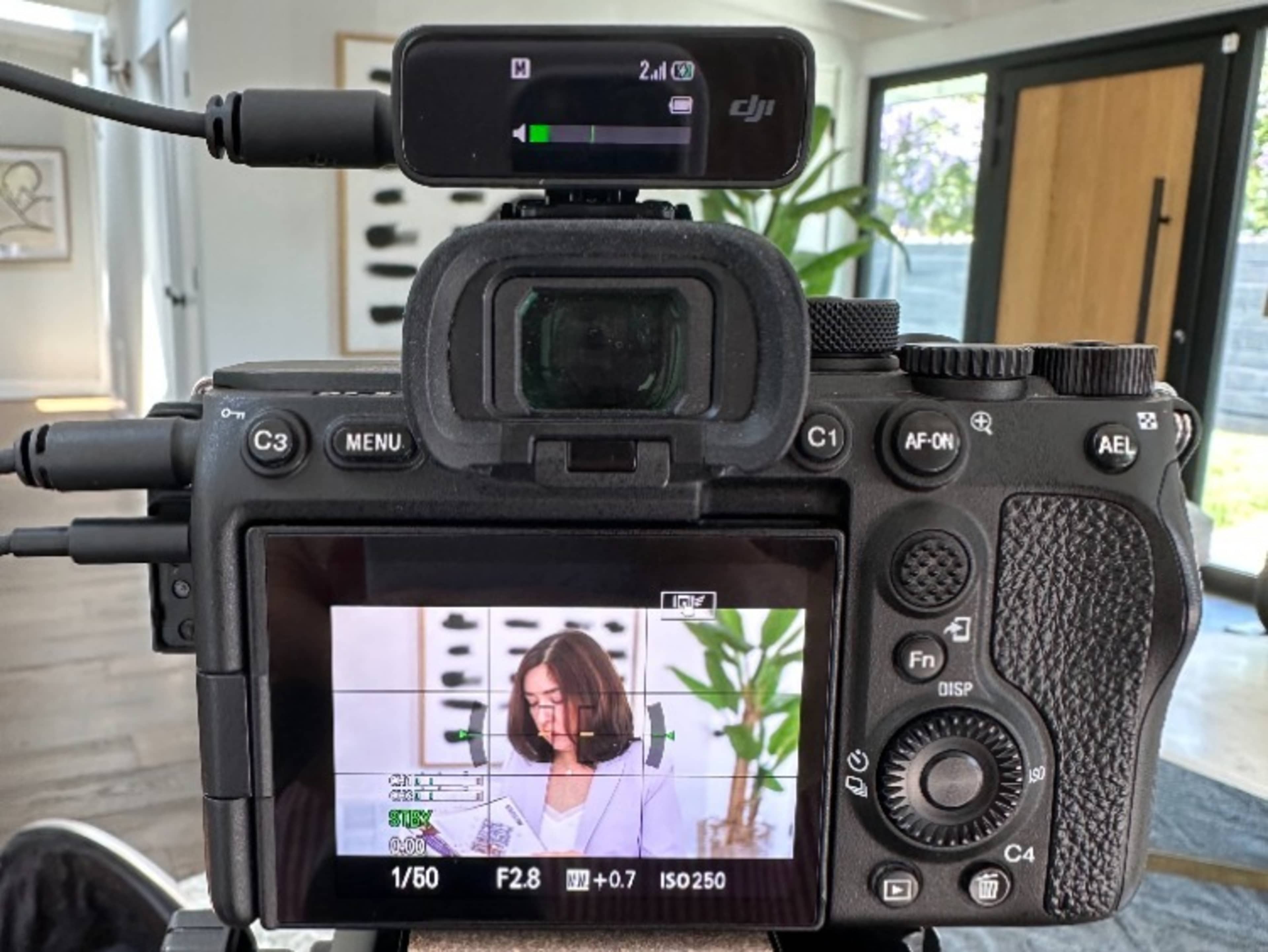 Professional Videographer