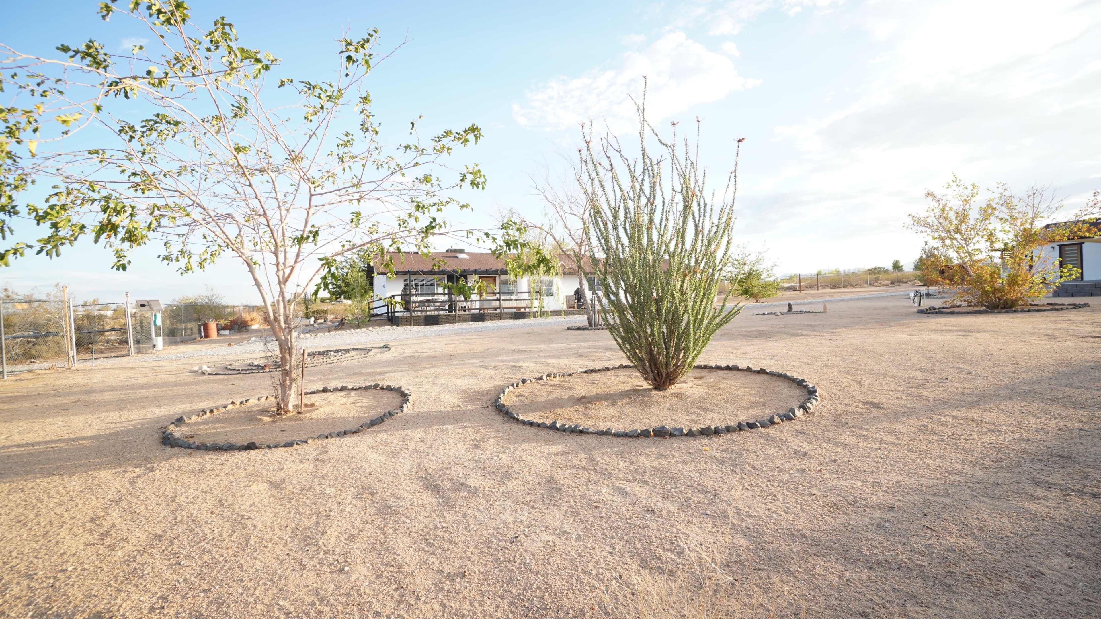 The image shows a dry landscape with two trees surrounded by circular stone enclosures, a house in the background, and sparse vegetation.