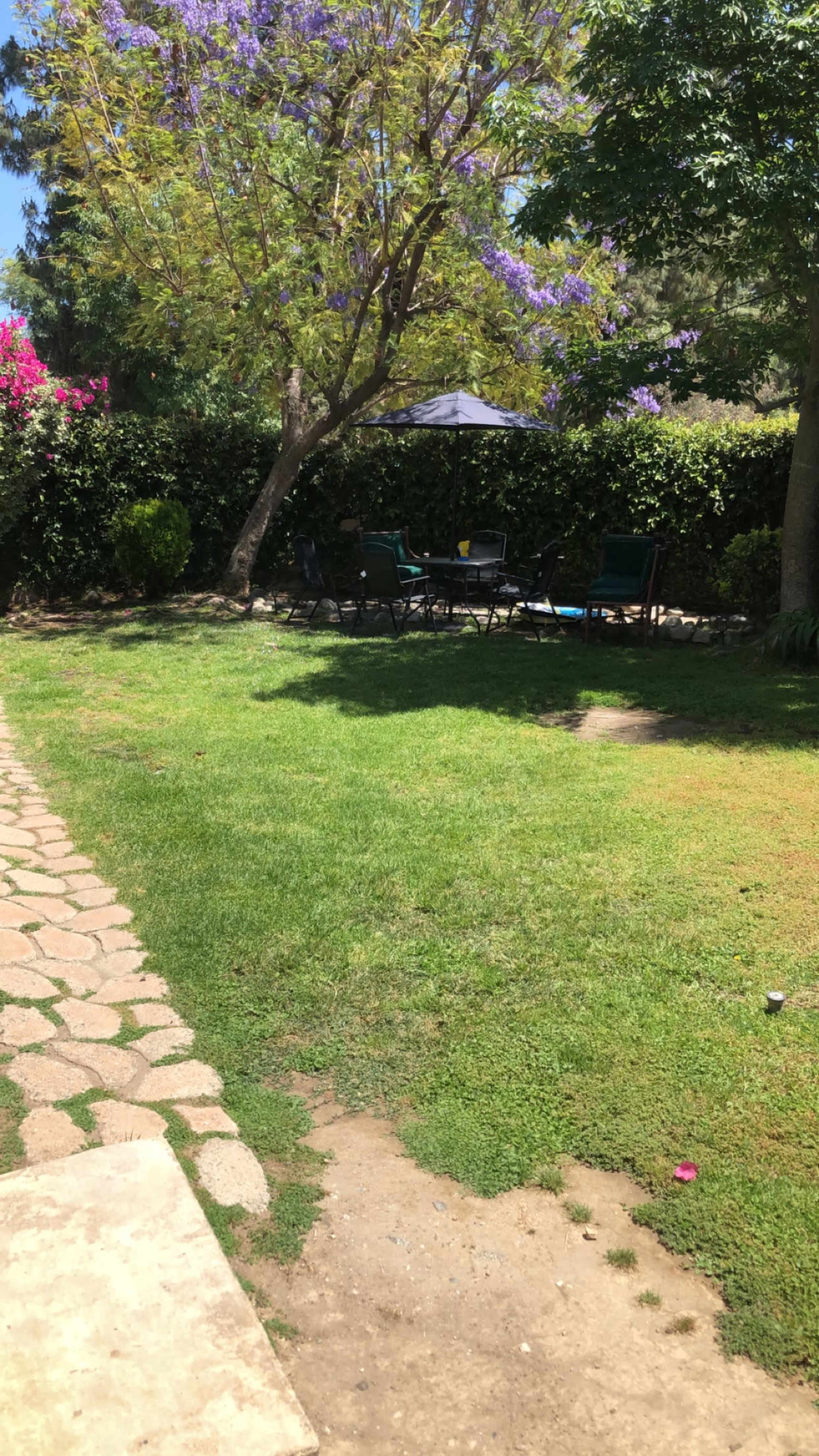 A grassy backyard with a stone pathway, a shaded seating area under a canopy, and flowering shrubs along the perimeter.