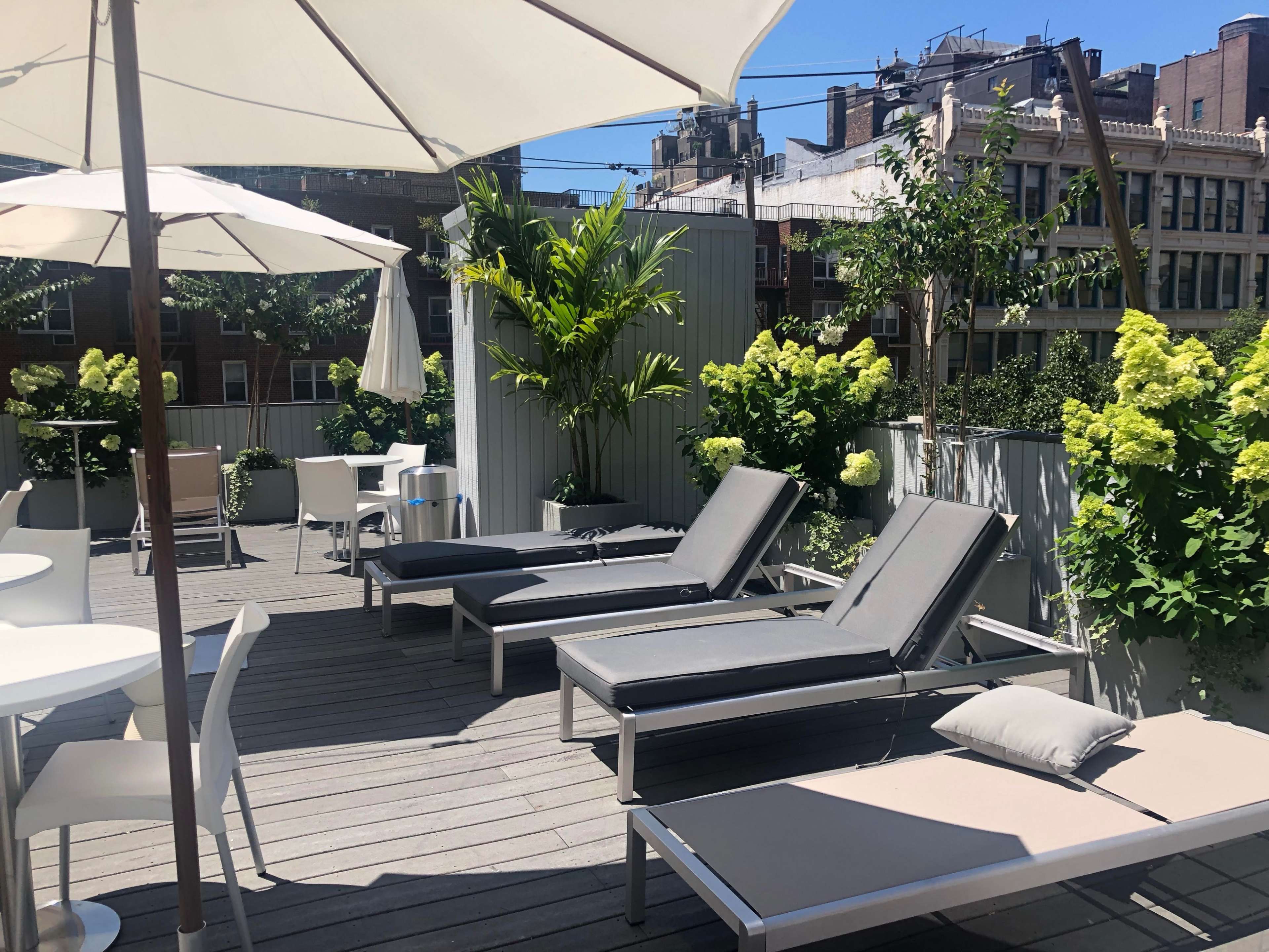 A rooftop terrace features several lounge chairs, tables, and greenery under bright sunlight.