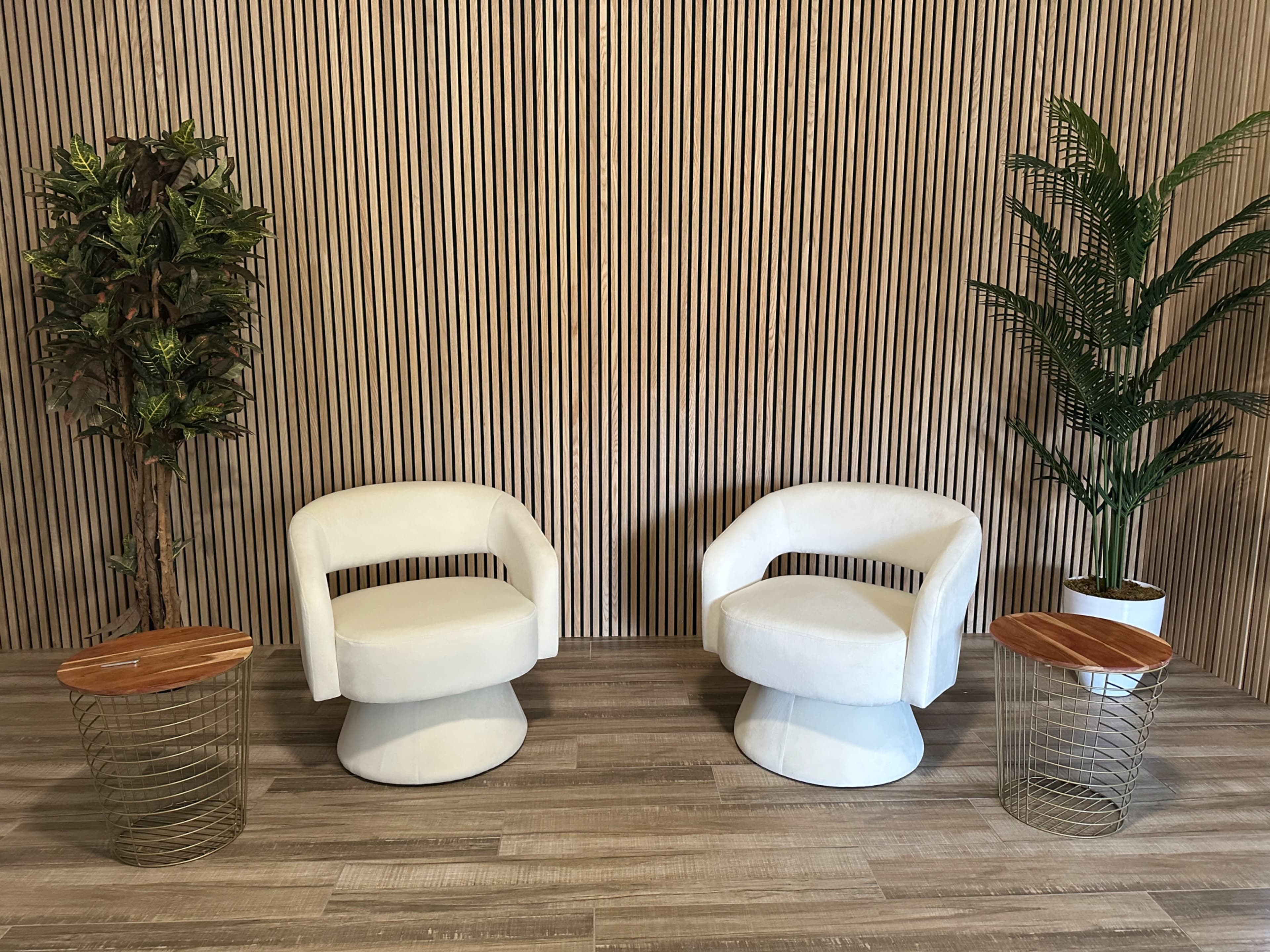 Ultimate Content Creation Hub Image in Lakeway, Lakeway, Austin, TX