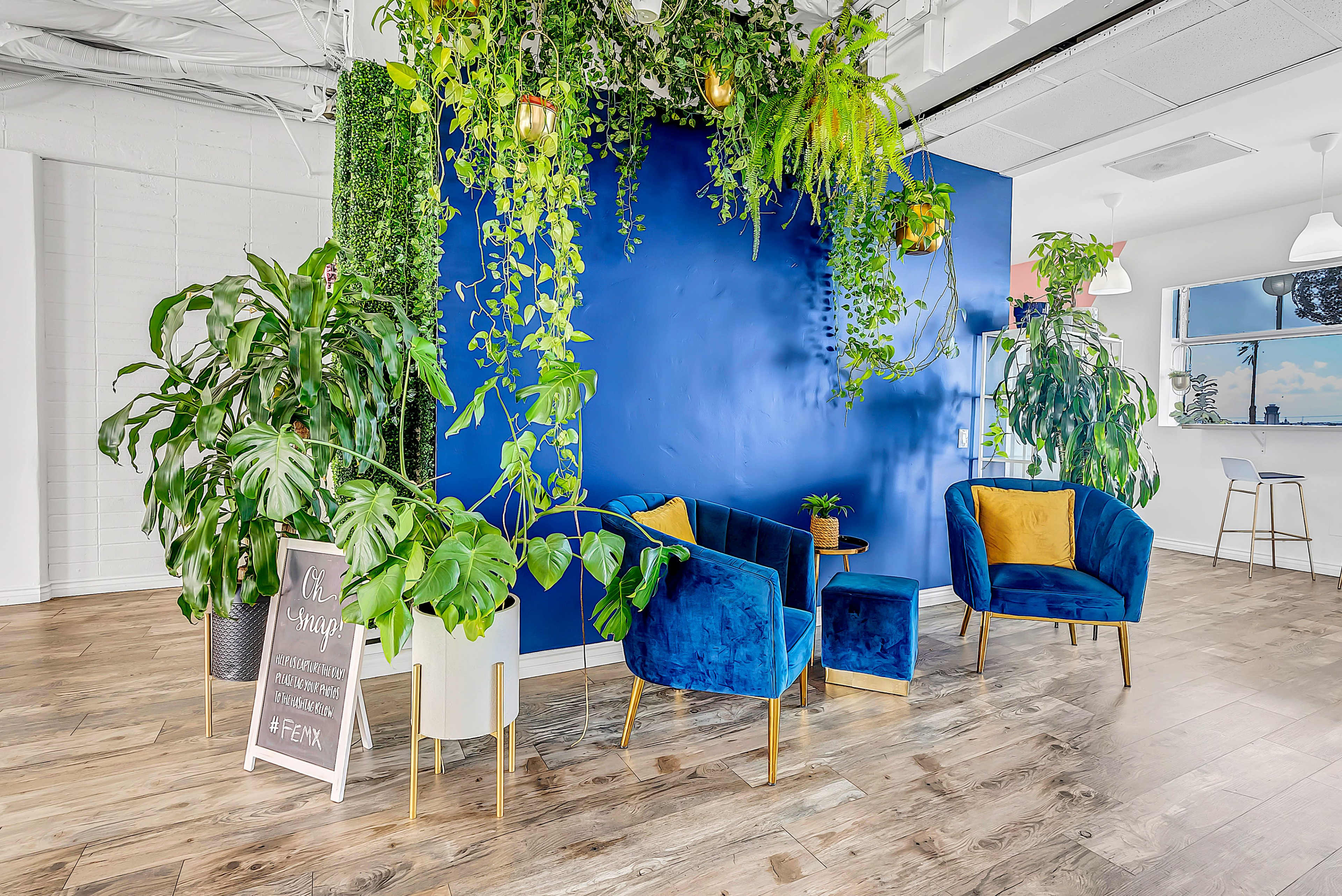 A modern seating area with blue upholstered chairs and a wall covered in greenery, complemented by wooden flooring and a bar in the background.
