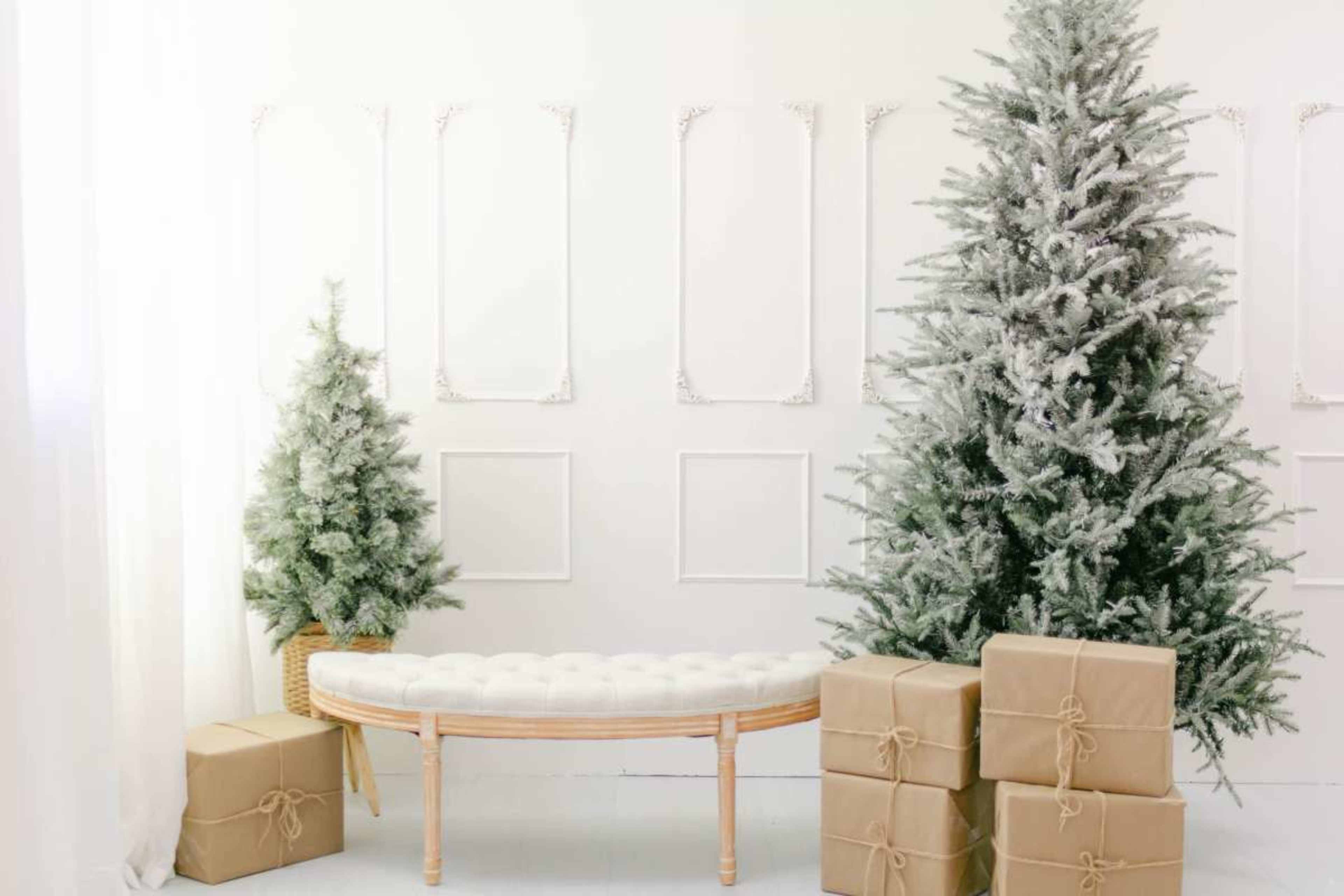 Bright Modern Studio with Natural Light and Props Image in , Sterling, VA