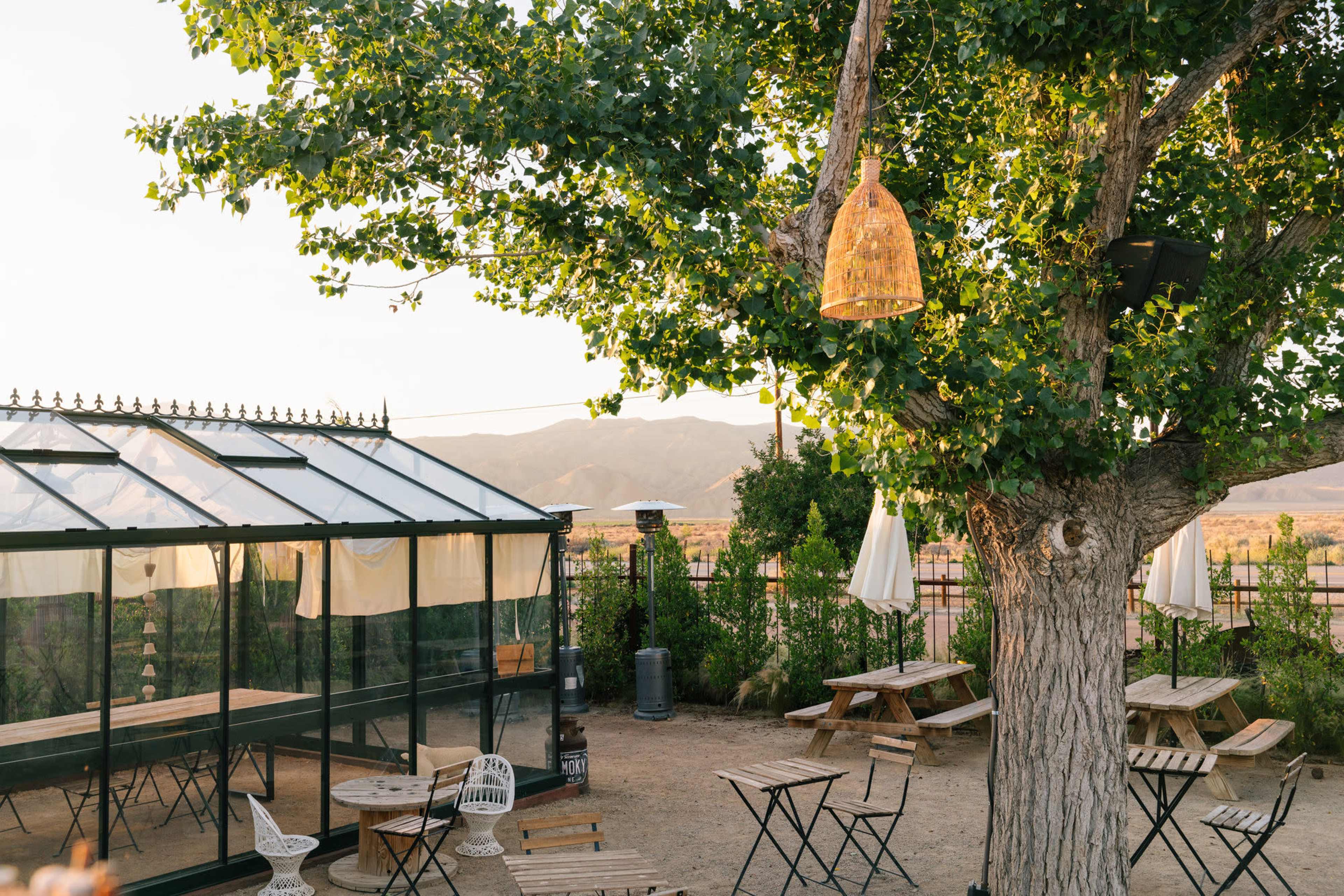 A greenhouse sits alongside wooden tables and chairs under a large tree in an outdoor gathering space.