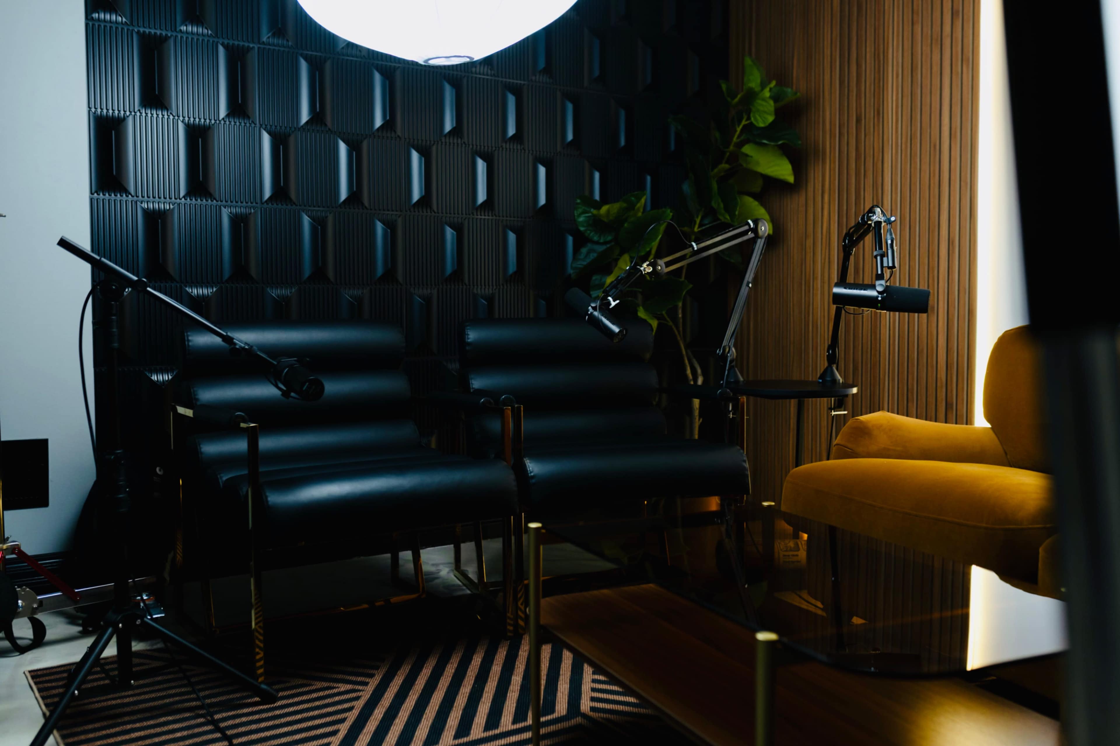 Podcast studio— perfect sound, lighting and video Image in Geneva Township, Geneva, IL