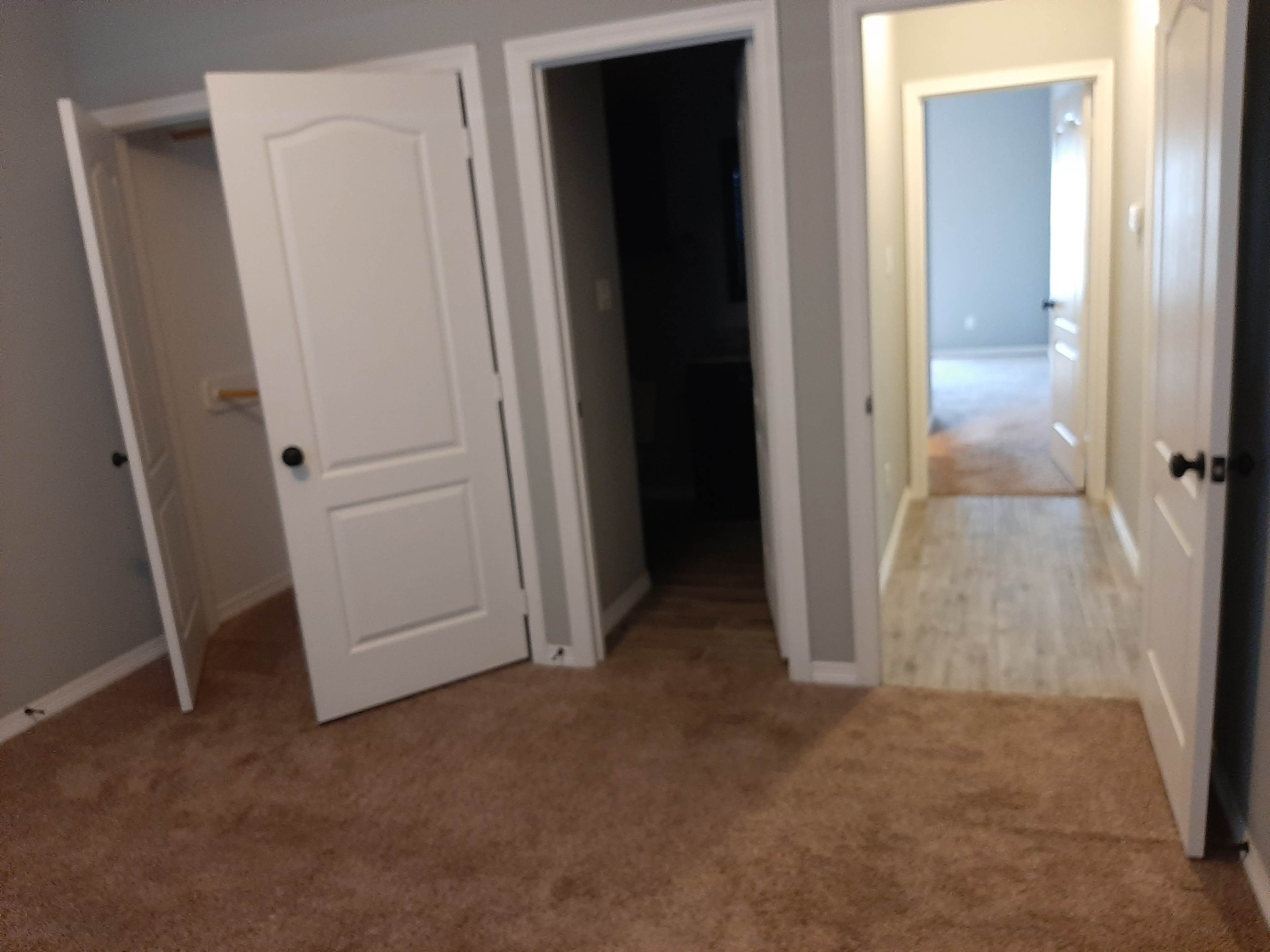The image shows a carpeted room with two white doors leading to closets and another door opening into a hallway.