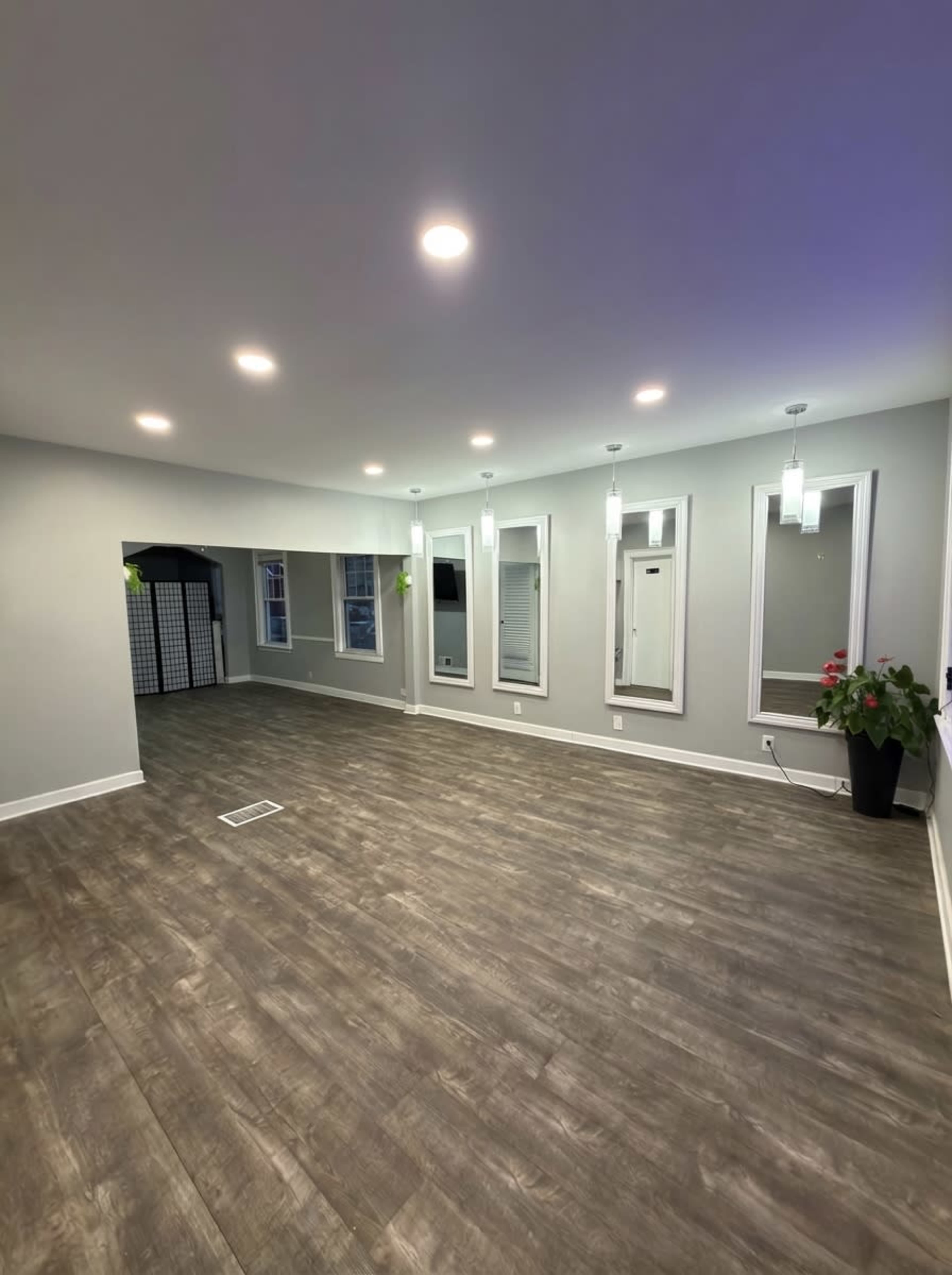 The image shows a spacious room with four wall mirrors and pendant lights, featuring a wooden floor and a large plant in a corner.