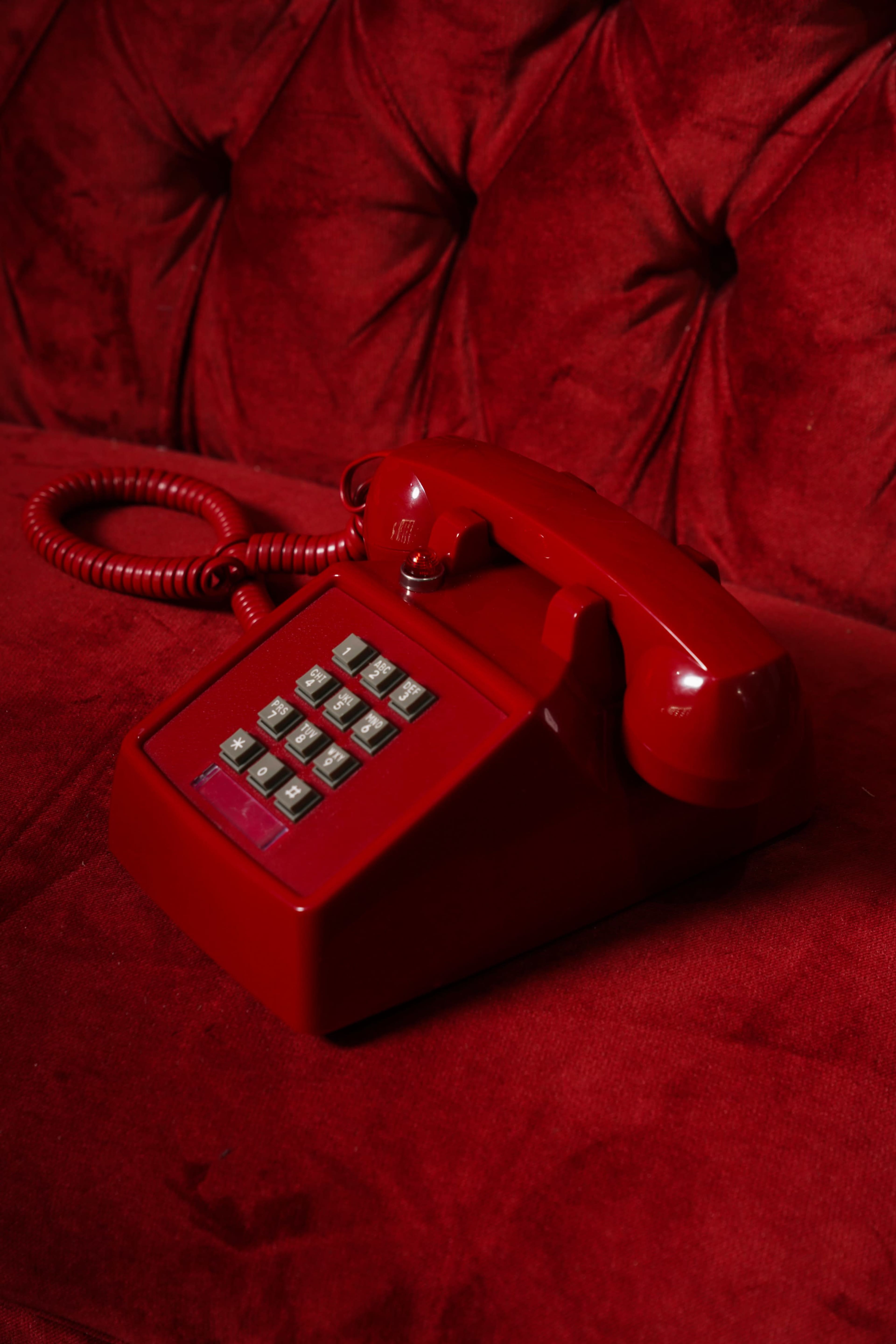 A Valentine’s Day Experience Image in Hills Park, Atlanta, GA