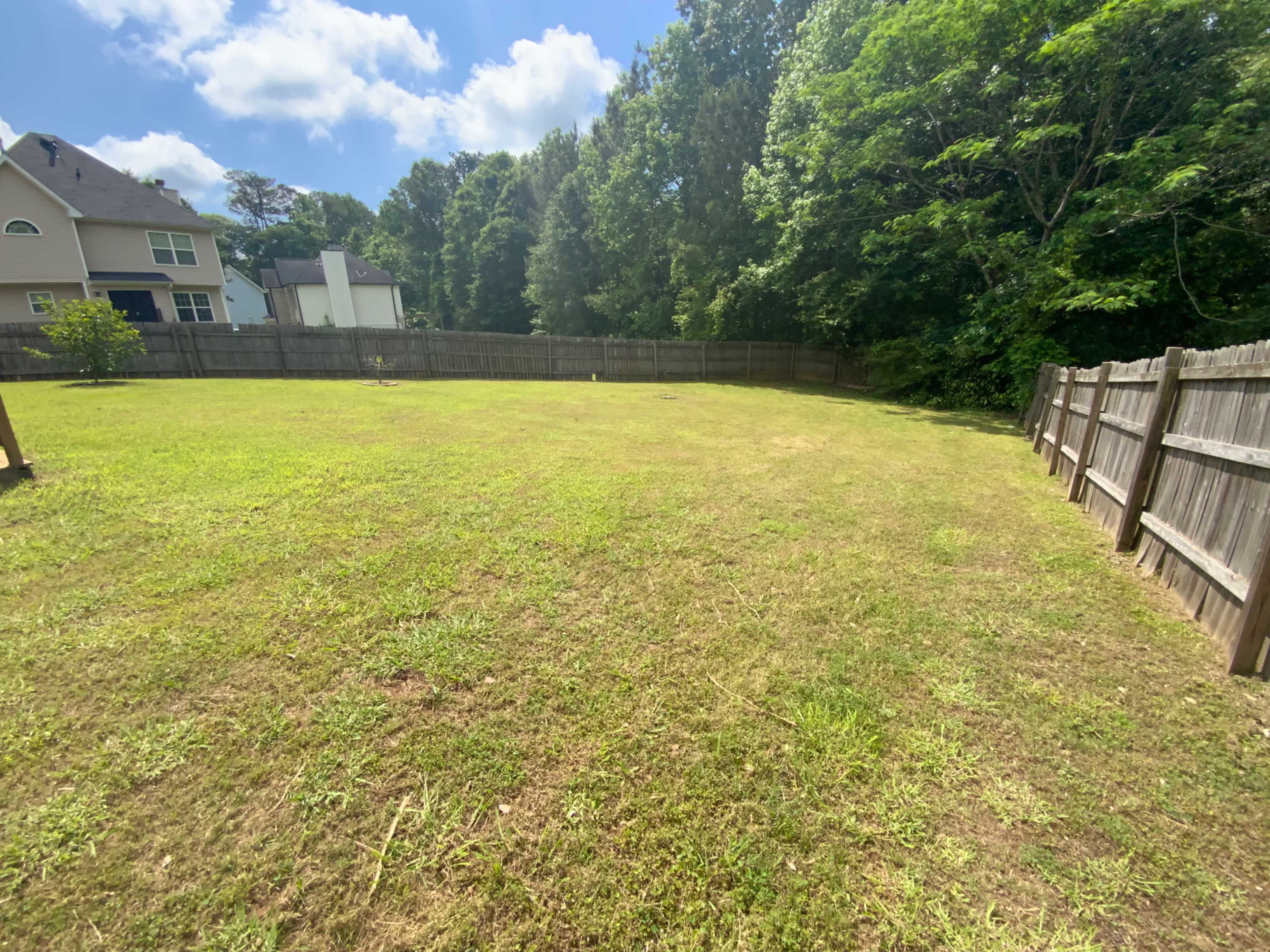 Enchanted backyard and deck—Ideal for gatherings and Events Image in , Ellenwood, GA
