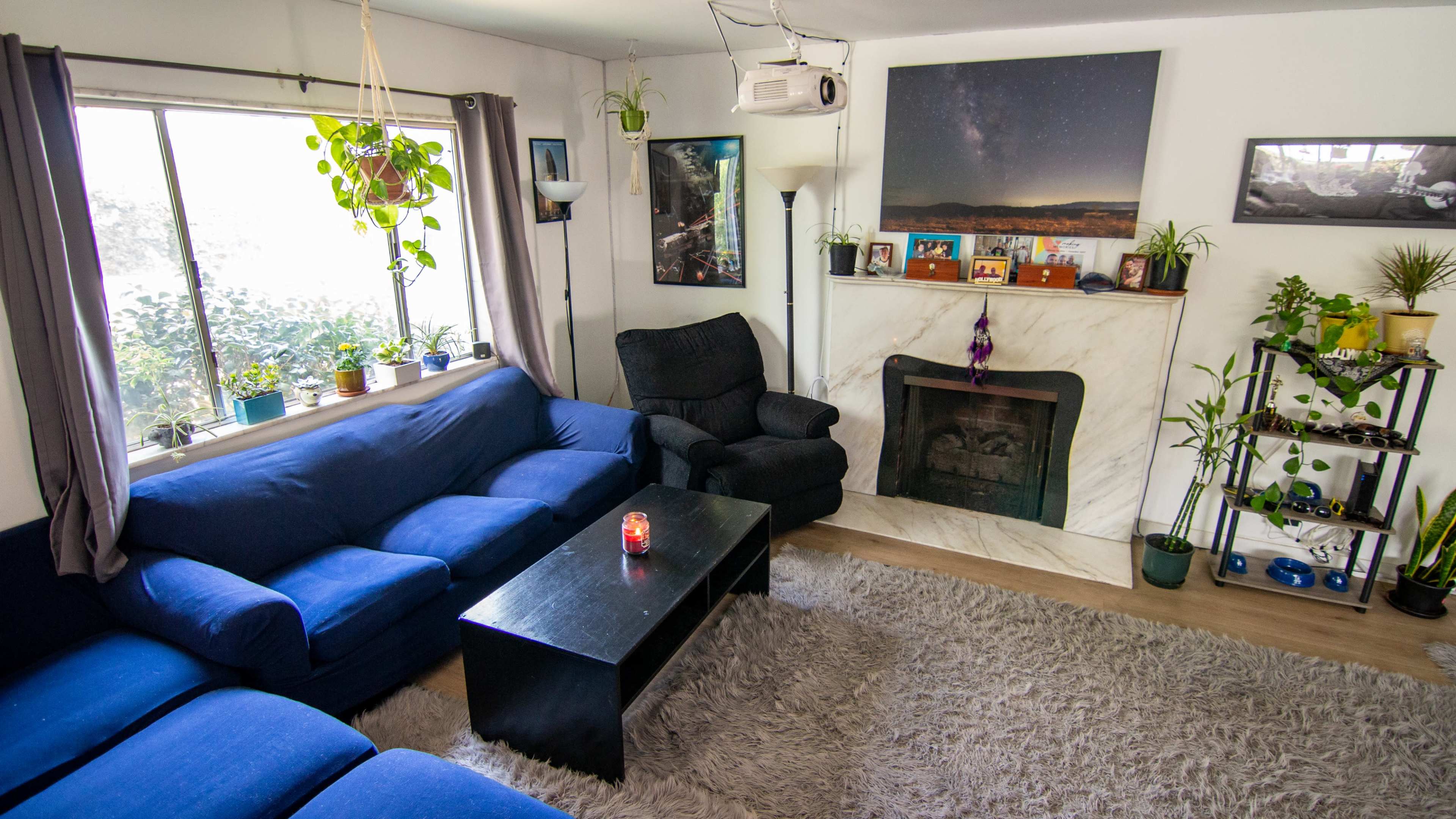 A living room with a blue sectional sofa, a black coffee table, a marble fireplace, and various plants arranged on shelves and windowsills.