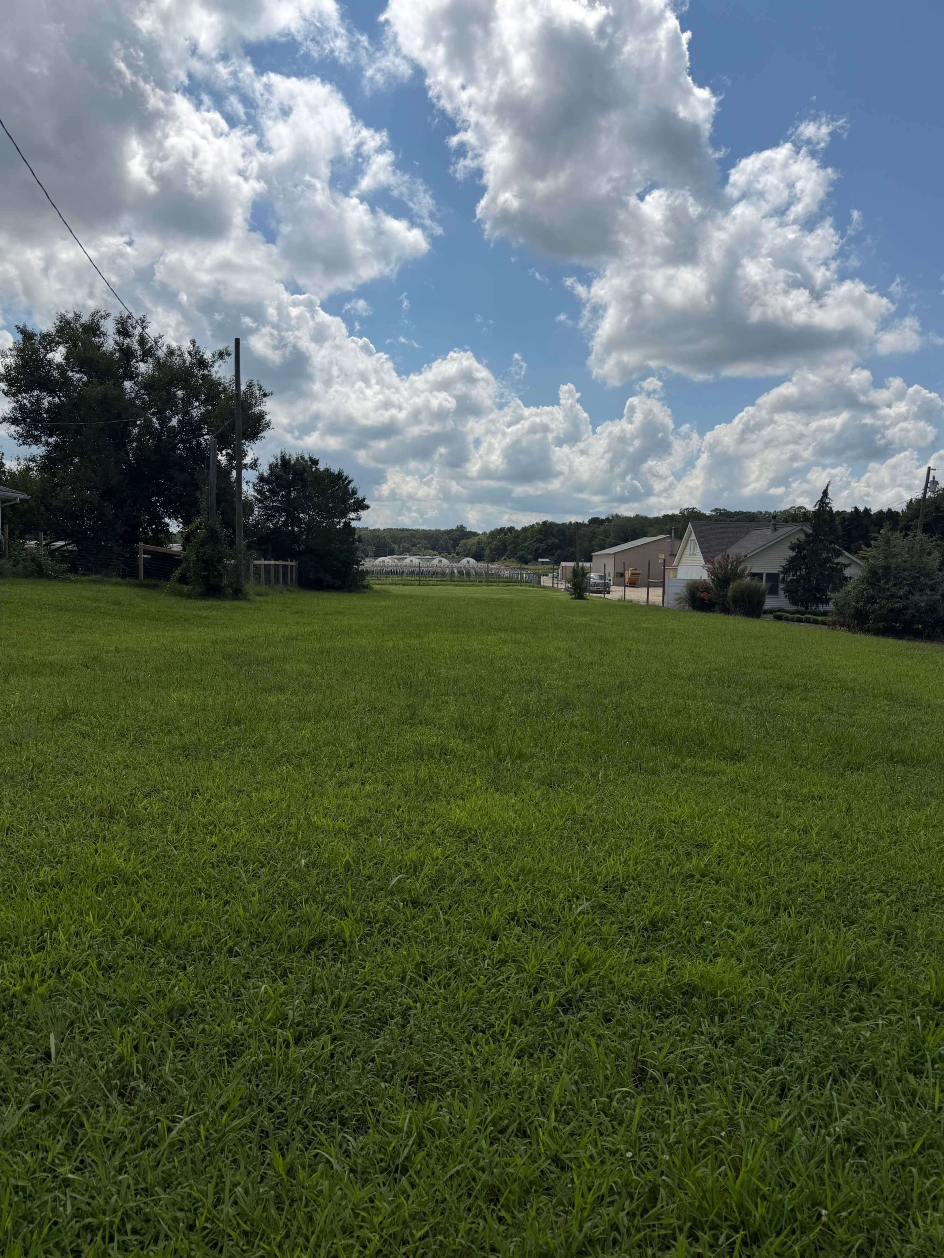 A wide expanse of green grass extends towards a row of houses and a cloudy blue sky in the background.