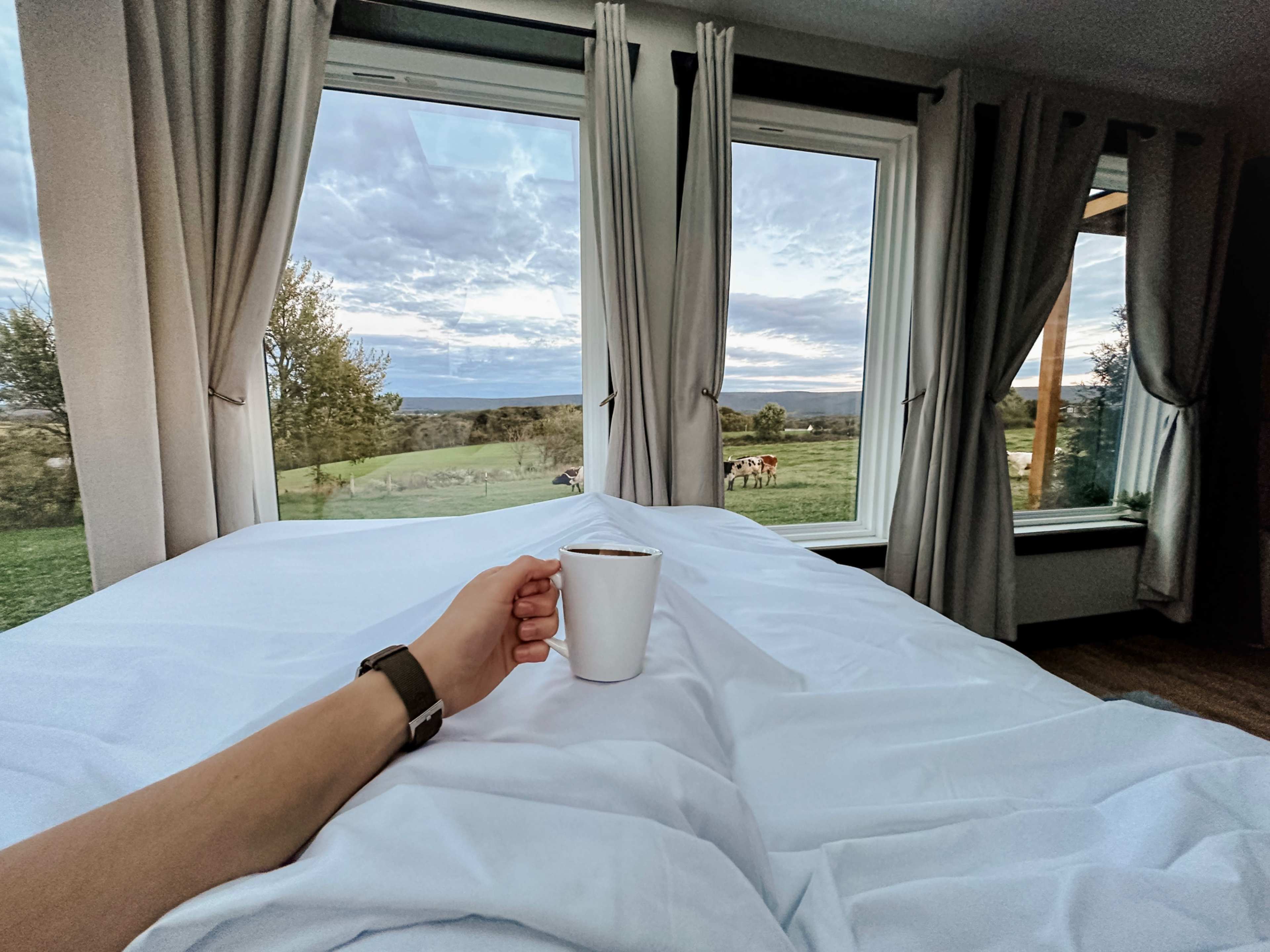 A person sits on a bed holding a white mug, with a view of rolling hills and cows through large windows.