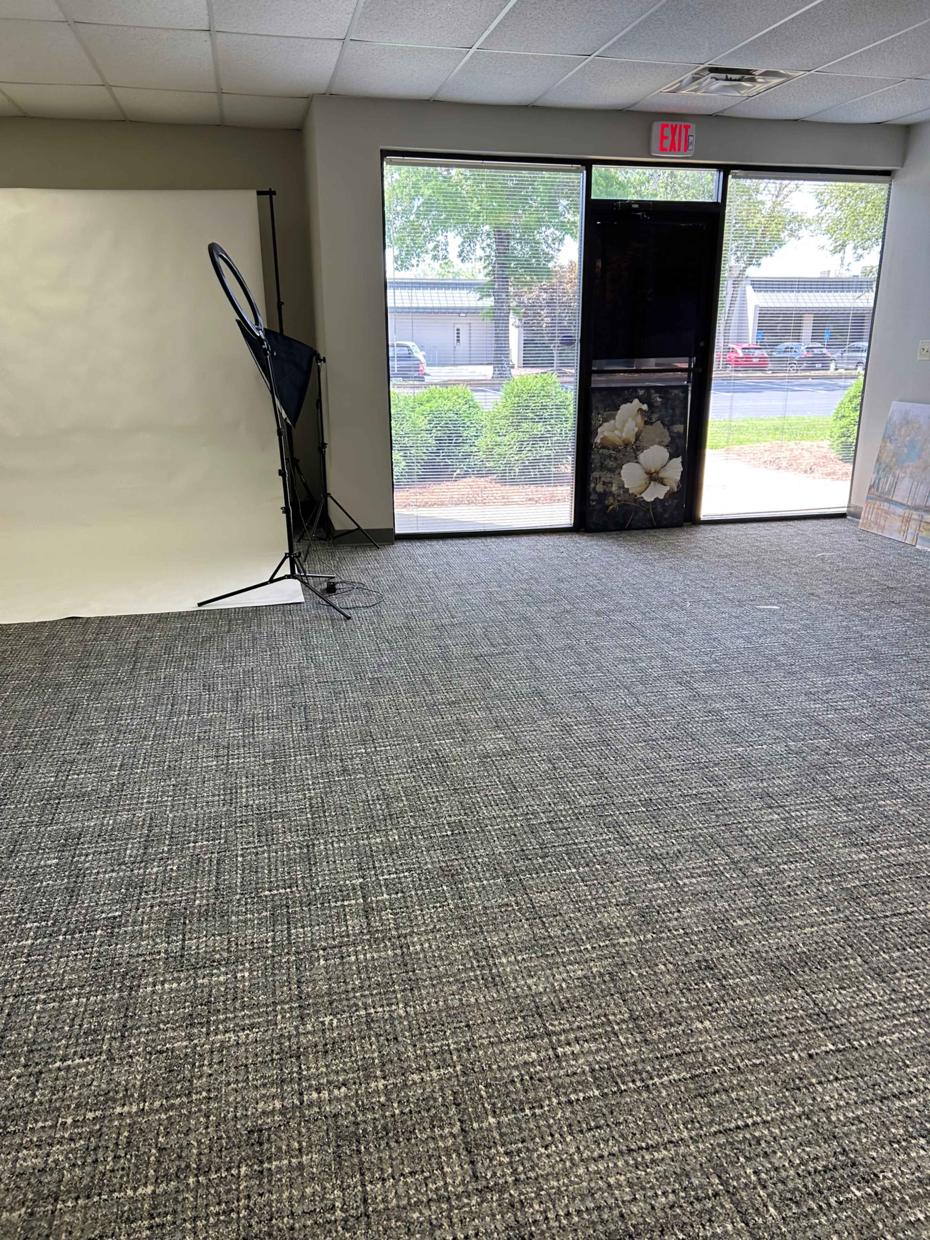 The image shows an empty room with gray carpet, a backdrop setup on a stand, and a large window facing an outdoor scene.