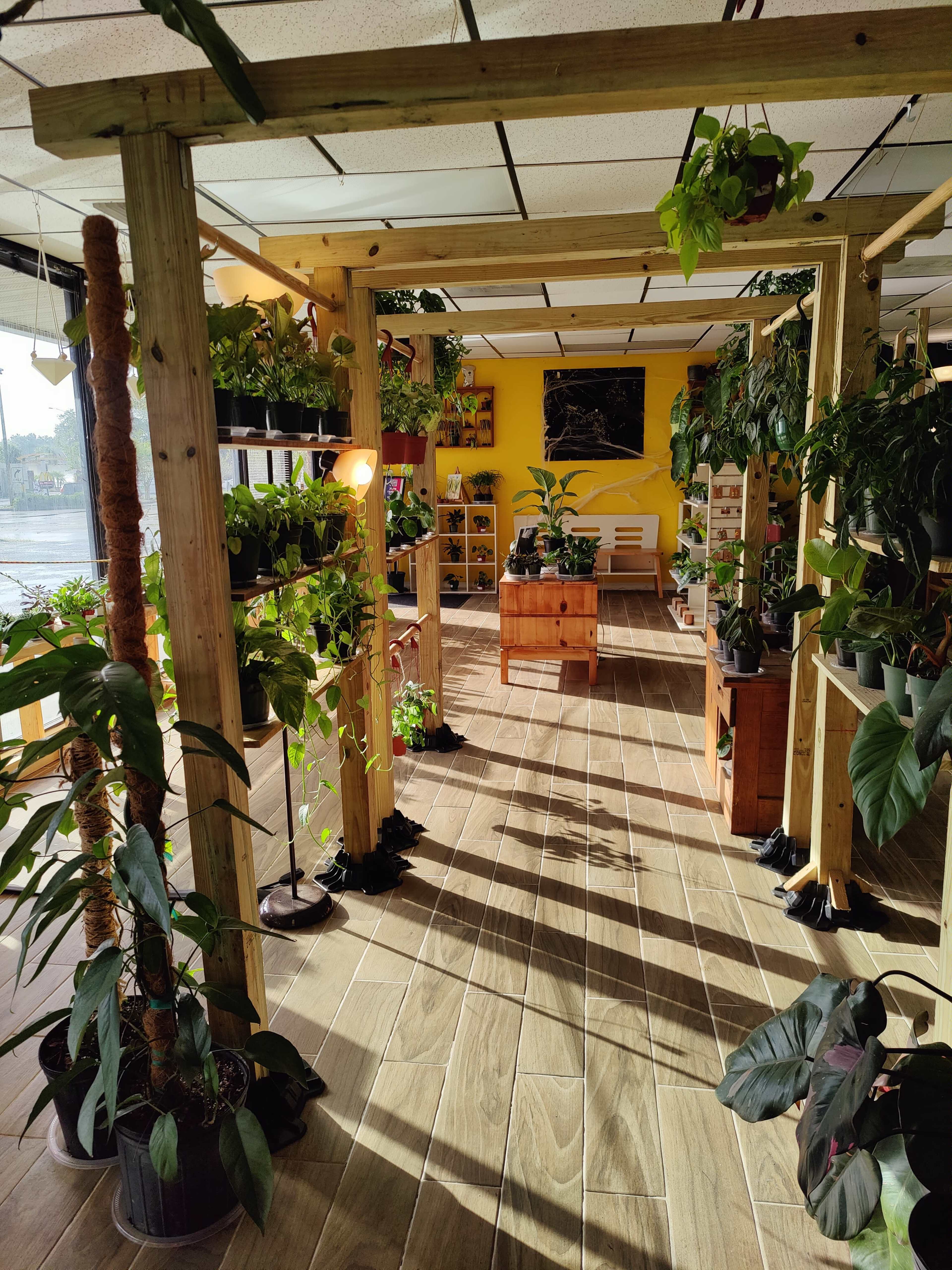A bright indoor garden space filled with potted plants, wooden planters, and a decorated yellow wall, illuminated by natural light.