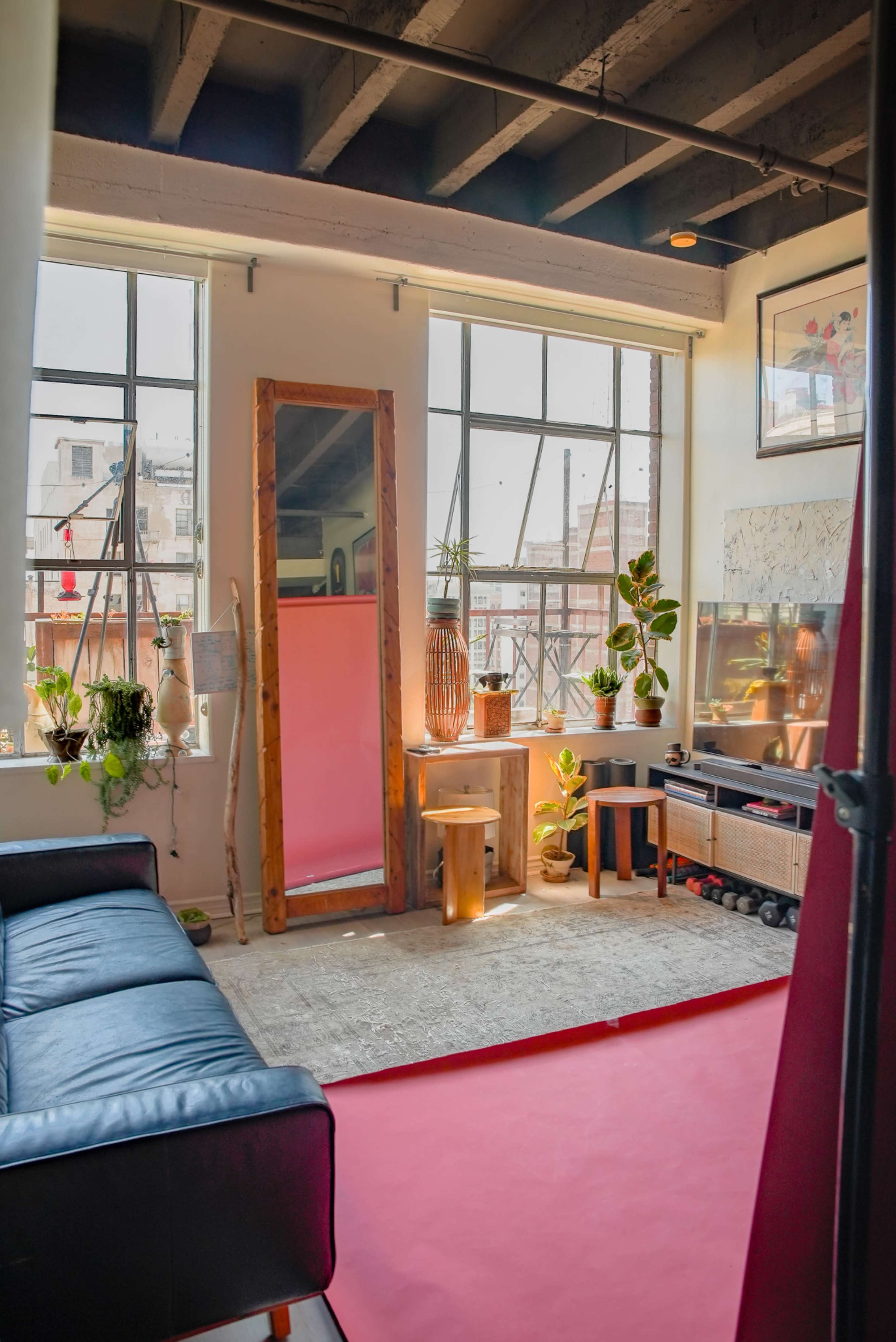 The image shows a well-lit living room featuring a black sofa, a large mirror, various indoor plants, and a pink rug on the wooden floor.