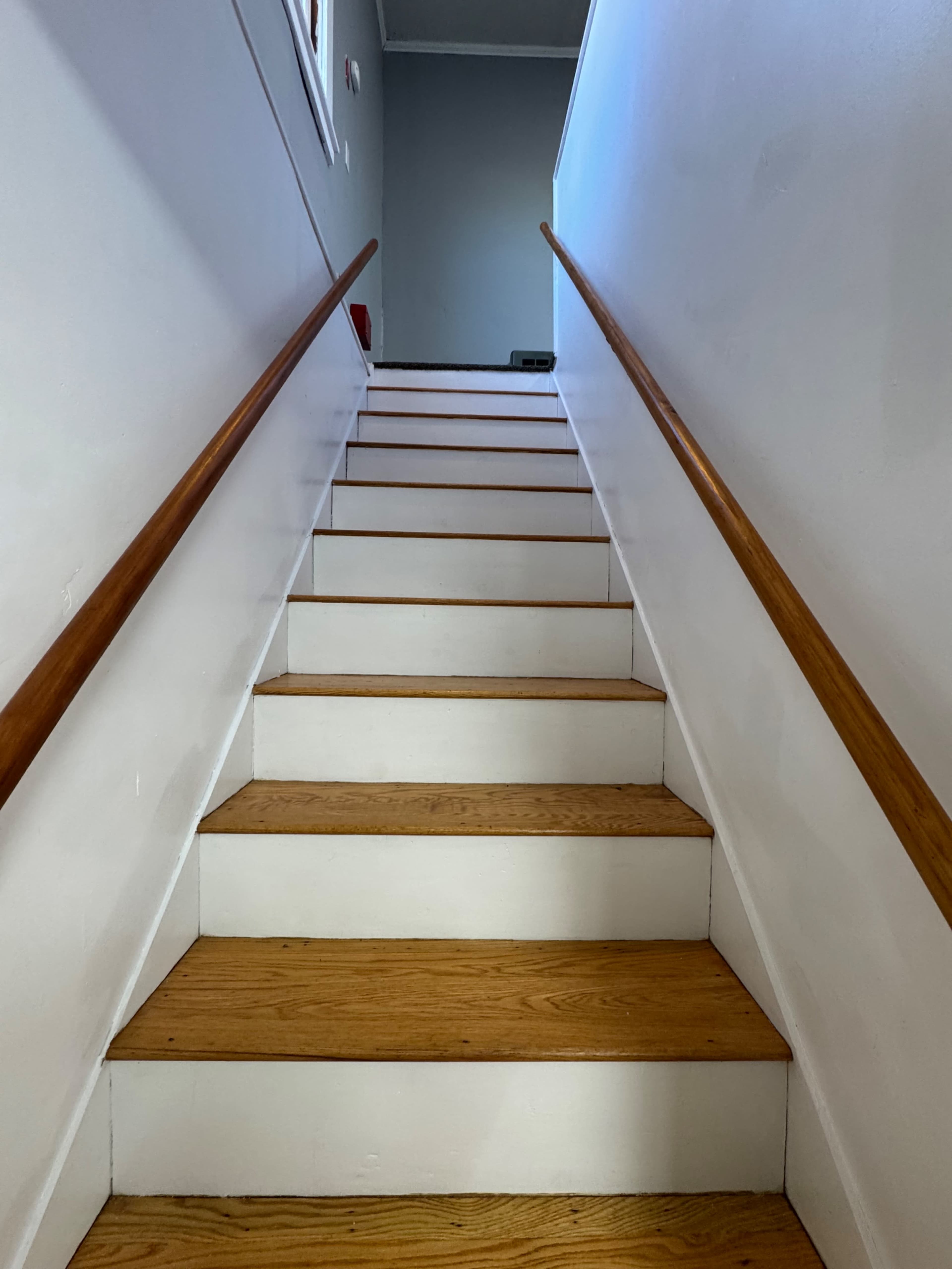 A flight of wooden stairs with a handrail ascends to a light-colored wall at the top.