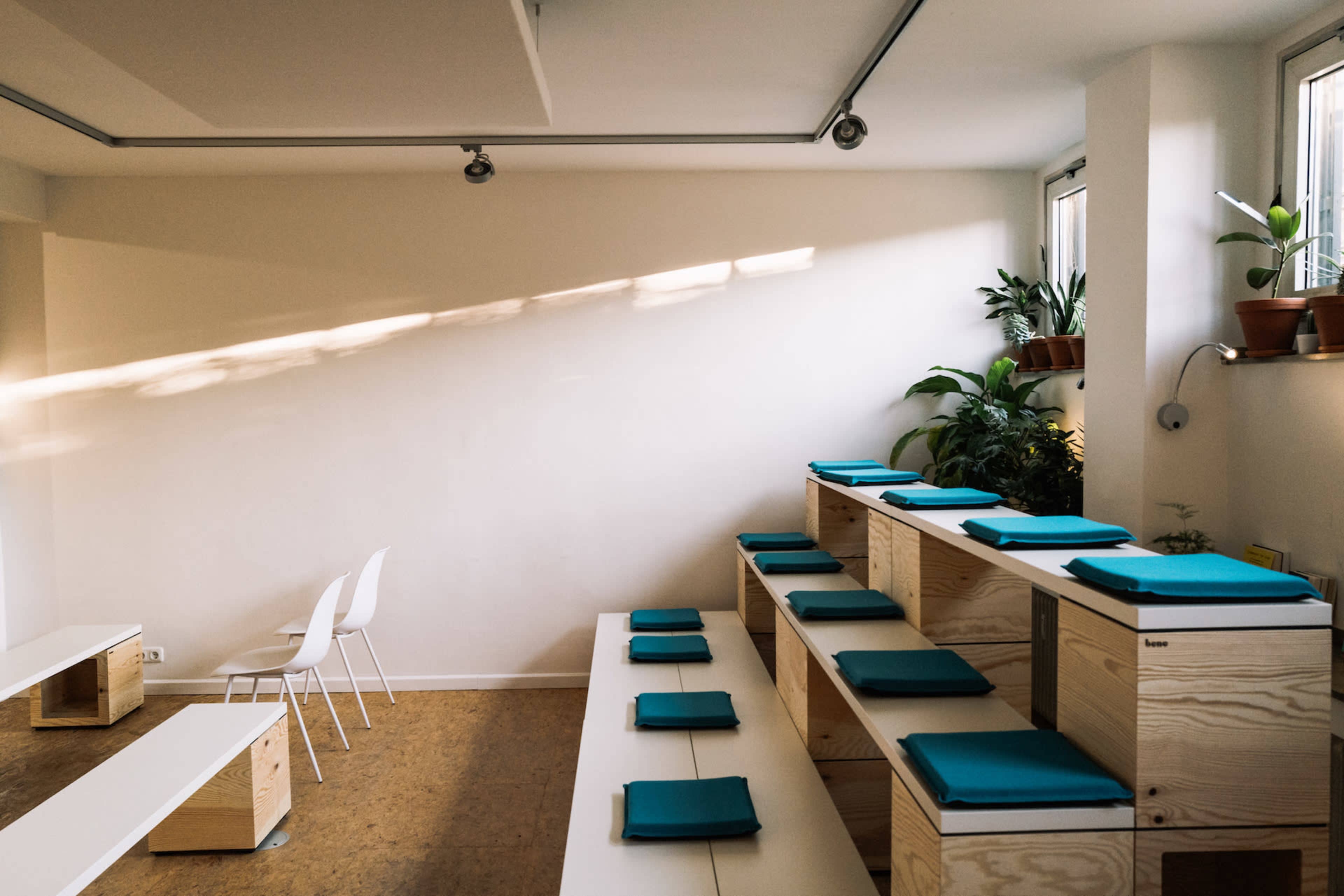 The image shows a minimalist classroom with wooden seating and teal cushions, accompanied by potted plants and natural light filtering through the windows.