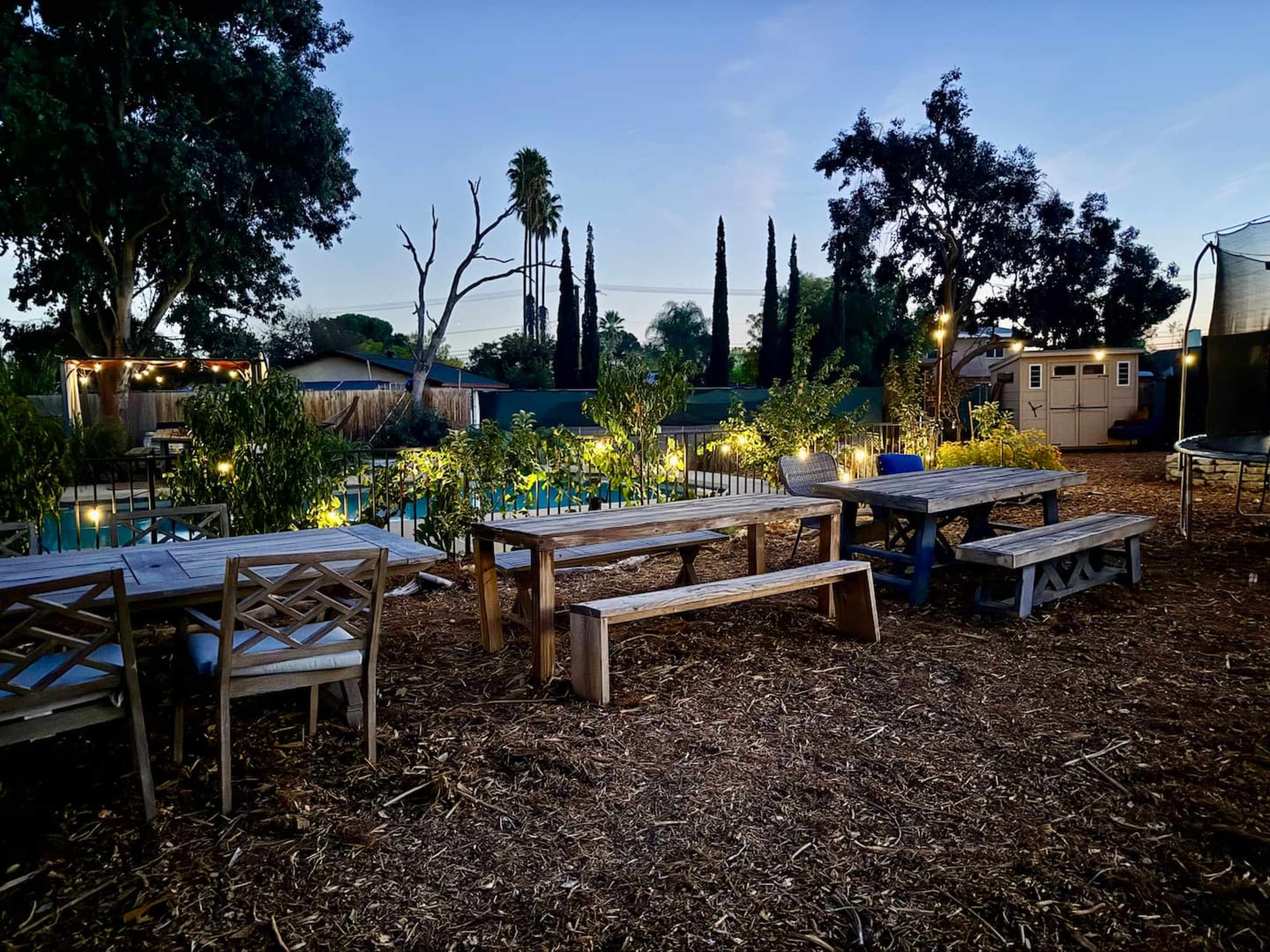 The image shows an outdoor space with wooden picnic tables surrounded by lush greenery and palm trees, with a pool and illuminated areas in the background at dusk.