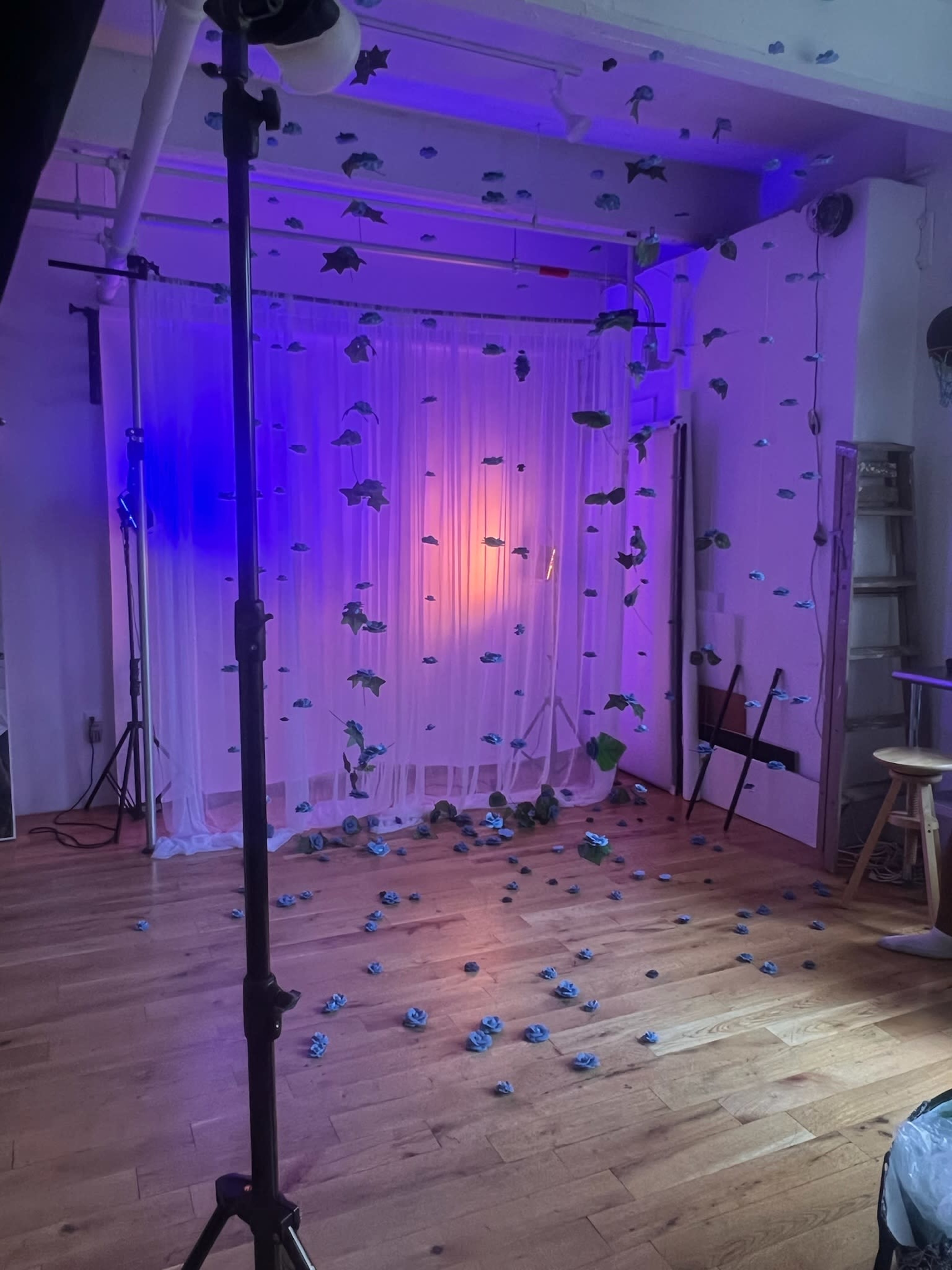 The image shows a studio space with a white draped backdrop, decorated with artificial leaves and flowers suspended from the ceiling, and blue flowers scattered across the wooden floor.